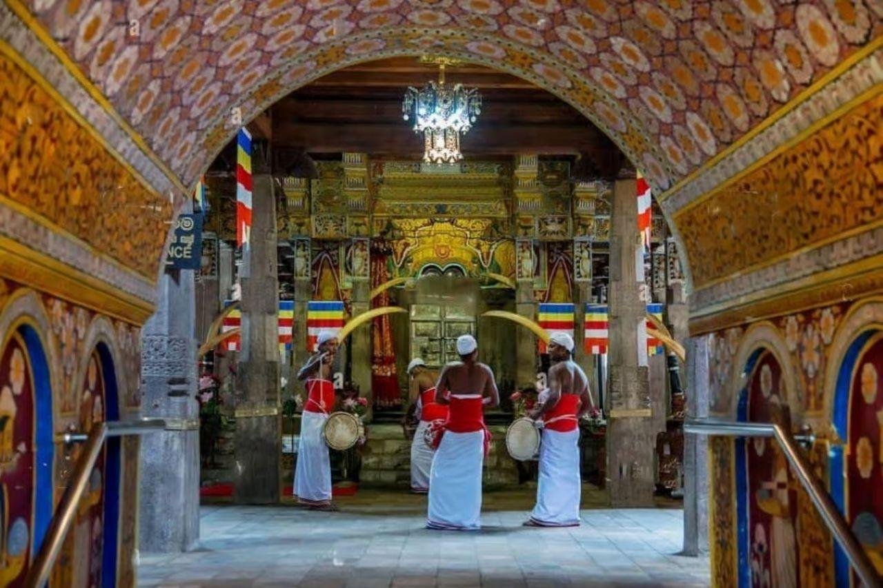 Kandy, Pinnawala & Tea Country Full-Day Excursion
