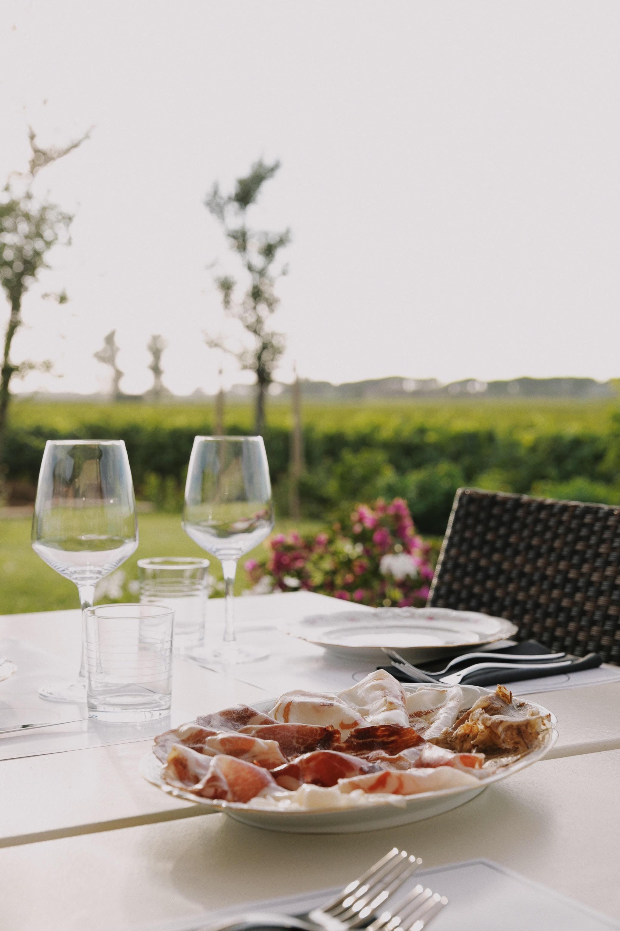 Bolgheri Wine Tasting with Tuscan Pairings