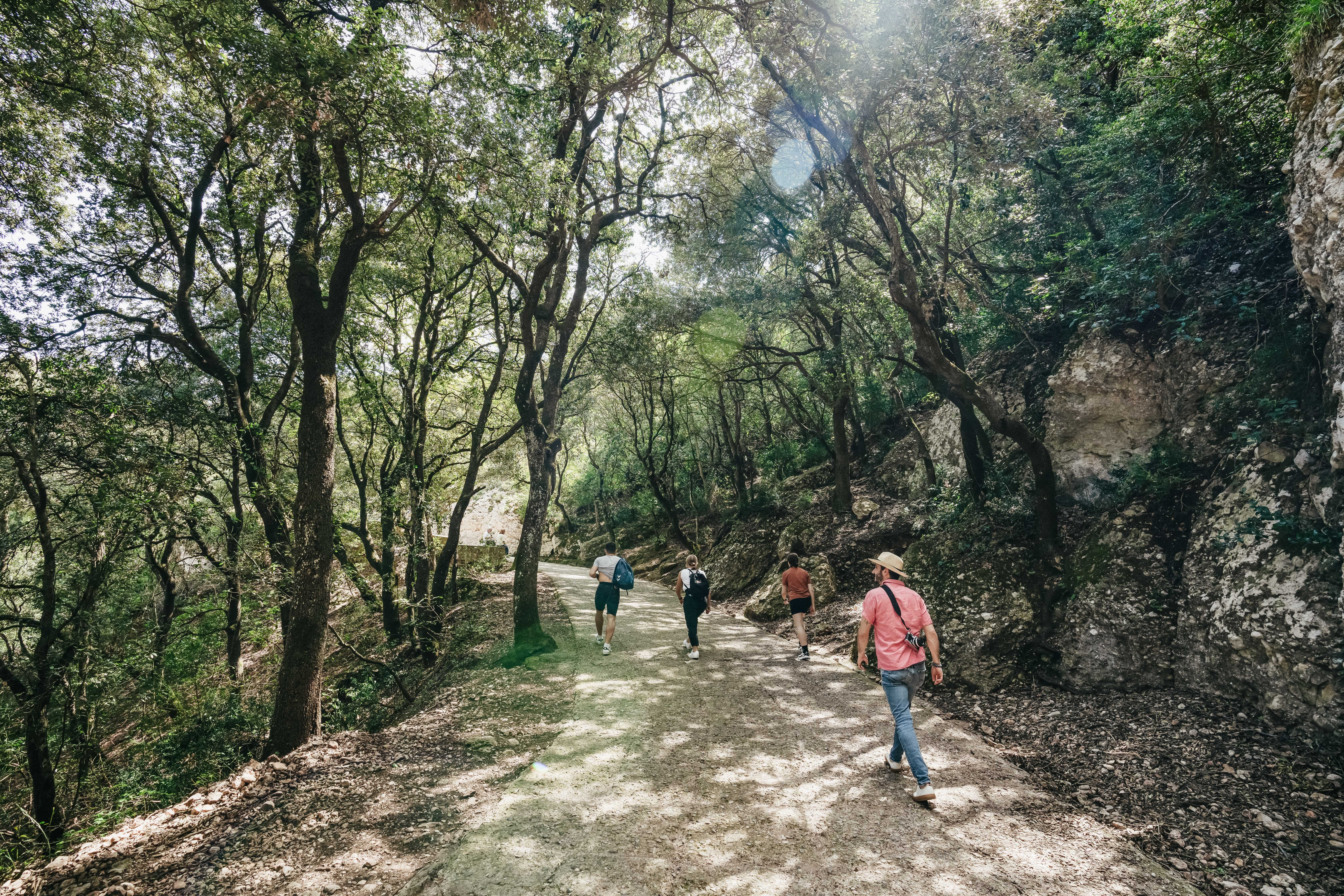 Montserrat tour from Barcelona — Benedictine abbey, cogwheel train, Black Madonna — image 17