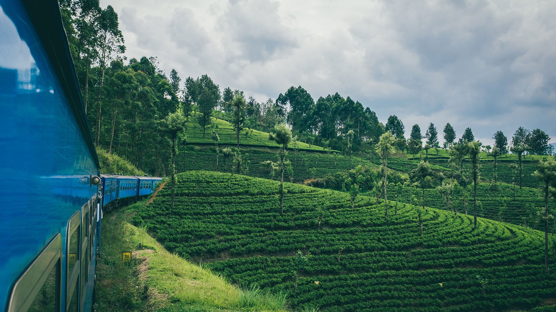 Kandy to Ella: First-Class Scenic Train Experience