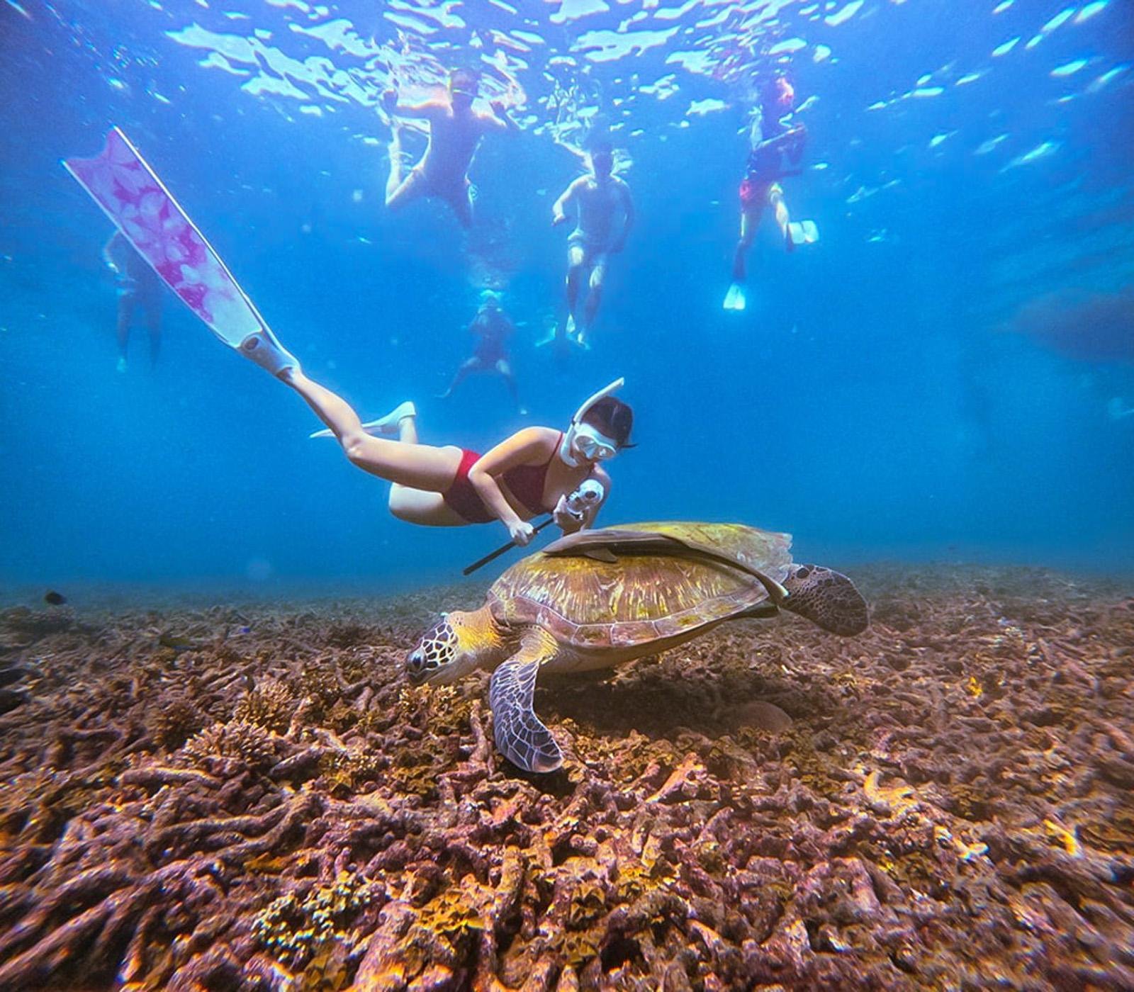 Koh Tao & Koh Nangyuan Speedboat Snorkeling Day Trip