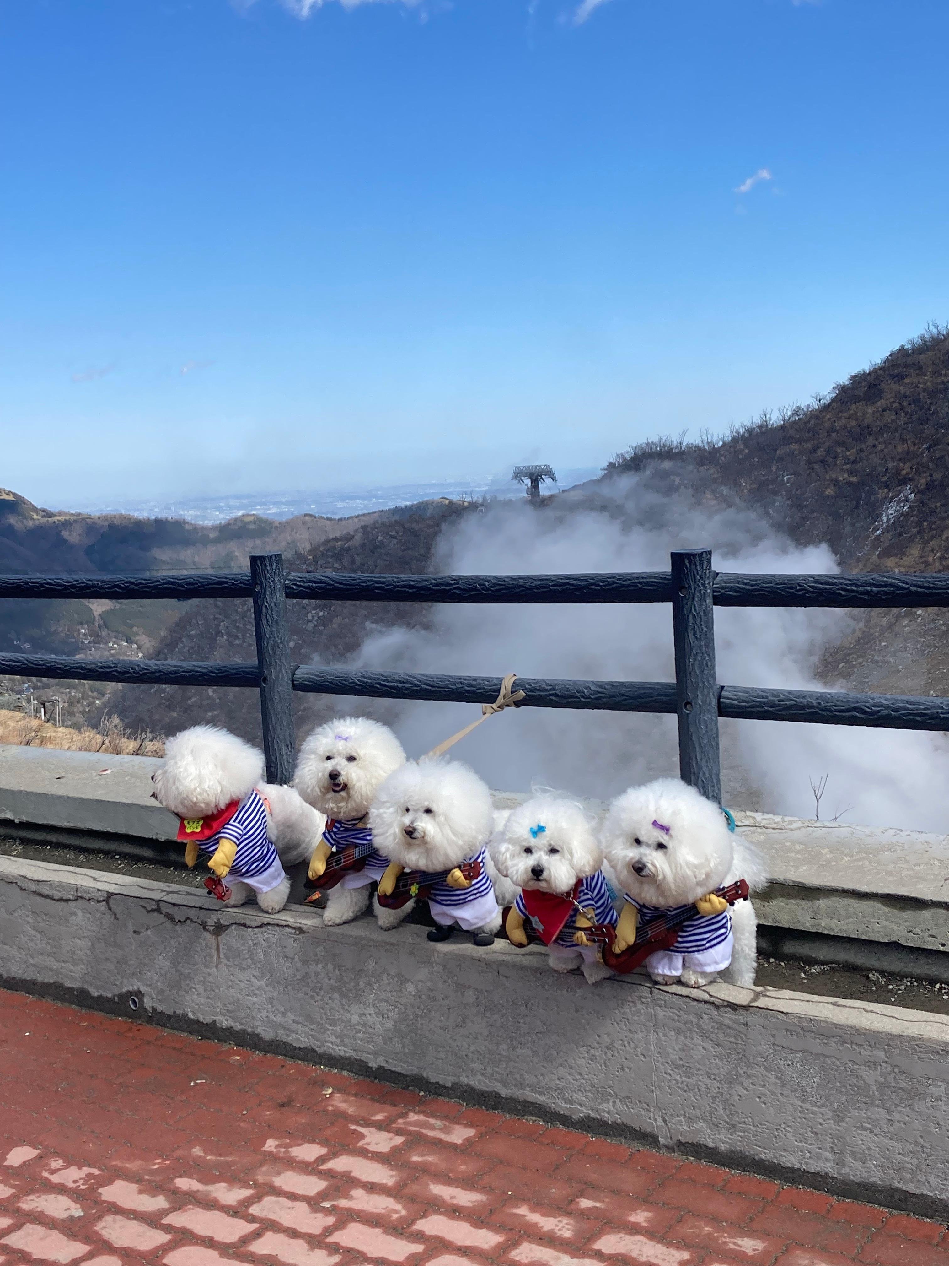 Hakone Private Bespoke Day Tour from Your Hotel