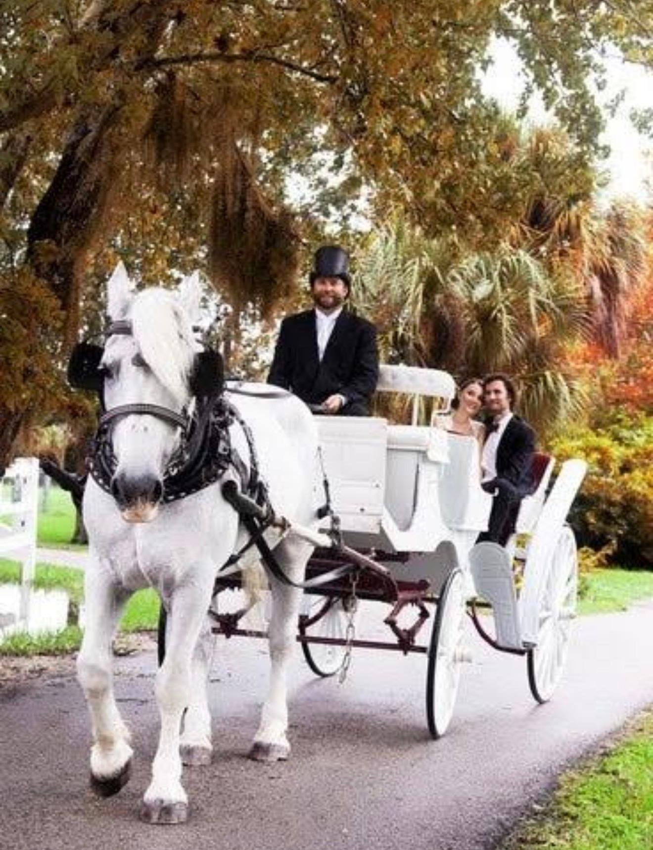 Private Central Park Horse Carriage Tour with Guide