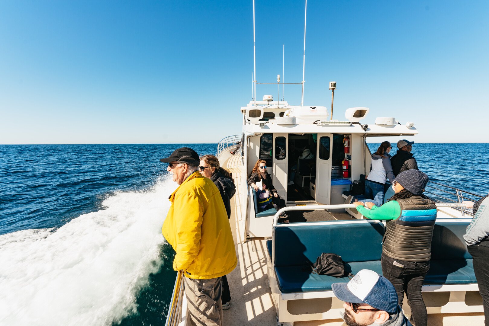 Monterey Bay whale watching tour — whales and marine wildlife — image 4