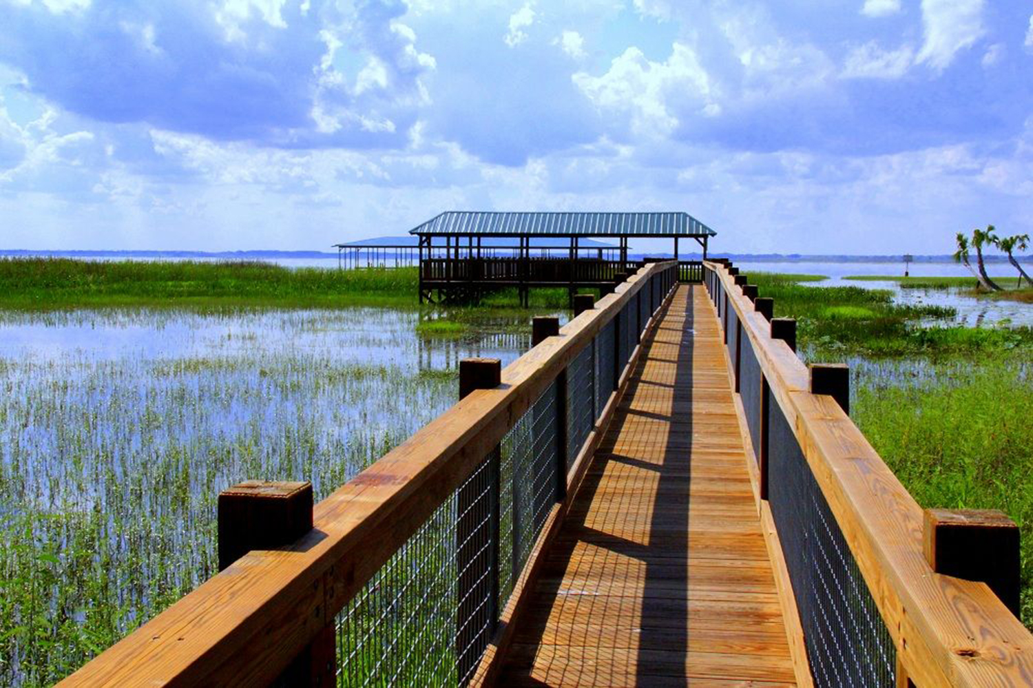 Central Florida Everglades Airboat Adventure & Wildlife Park