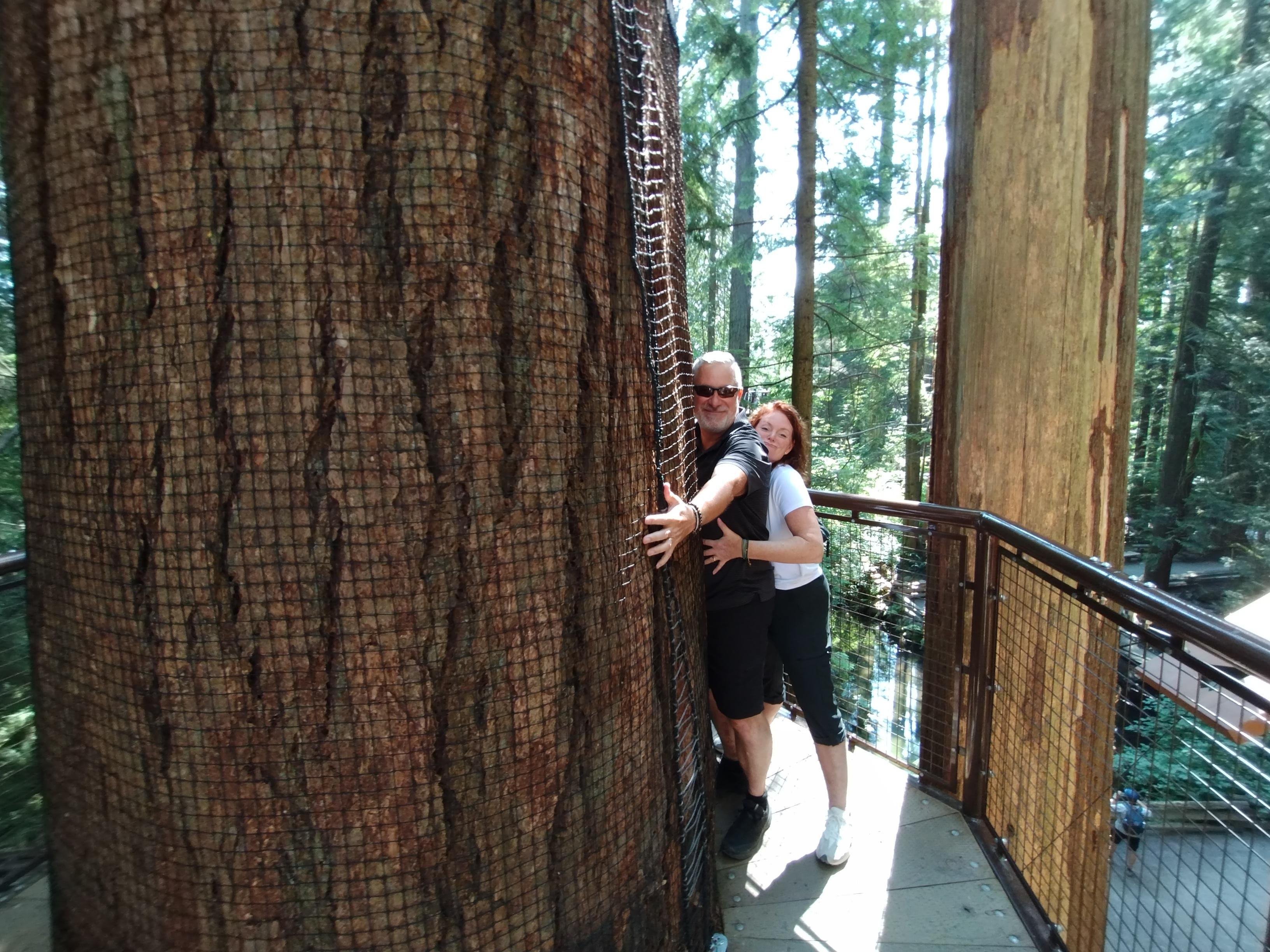 Capilano Suspension Bridge & Stanley Park Small Group Tour