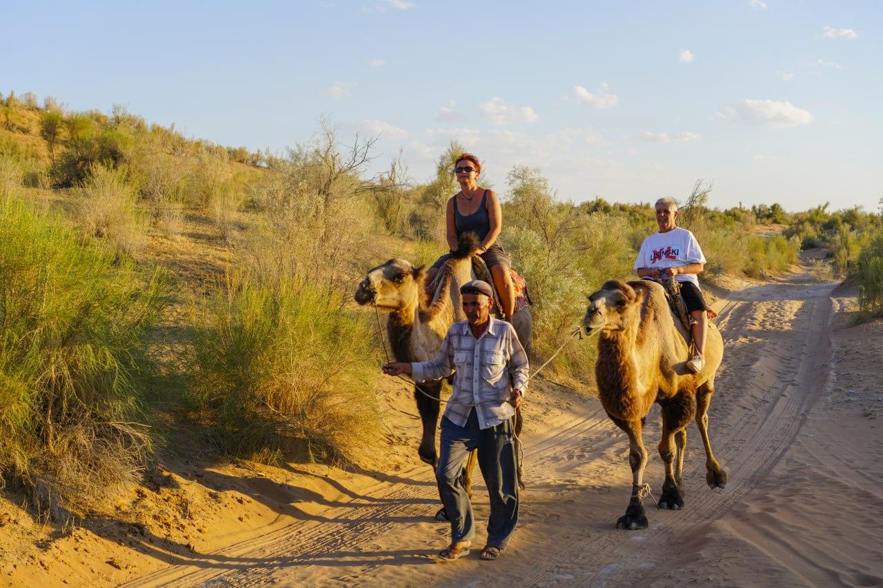 Two-Day Kyzylkum Desert Yurt Adventure