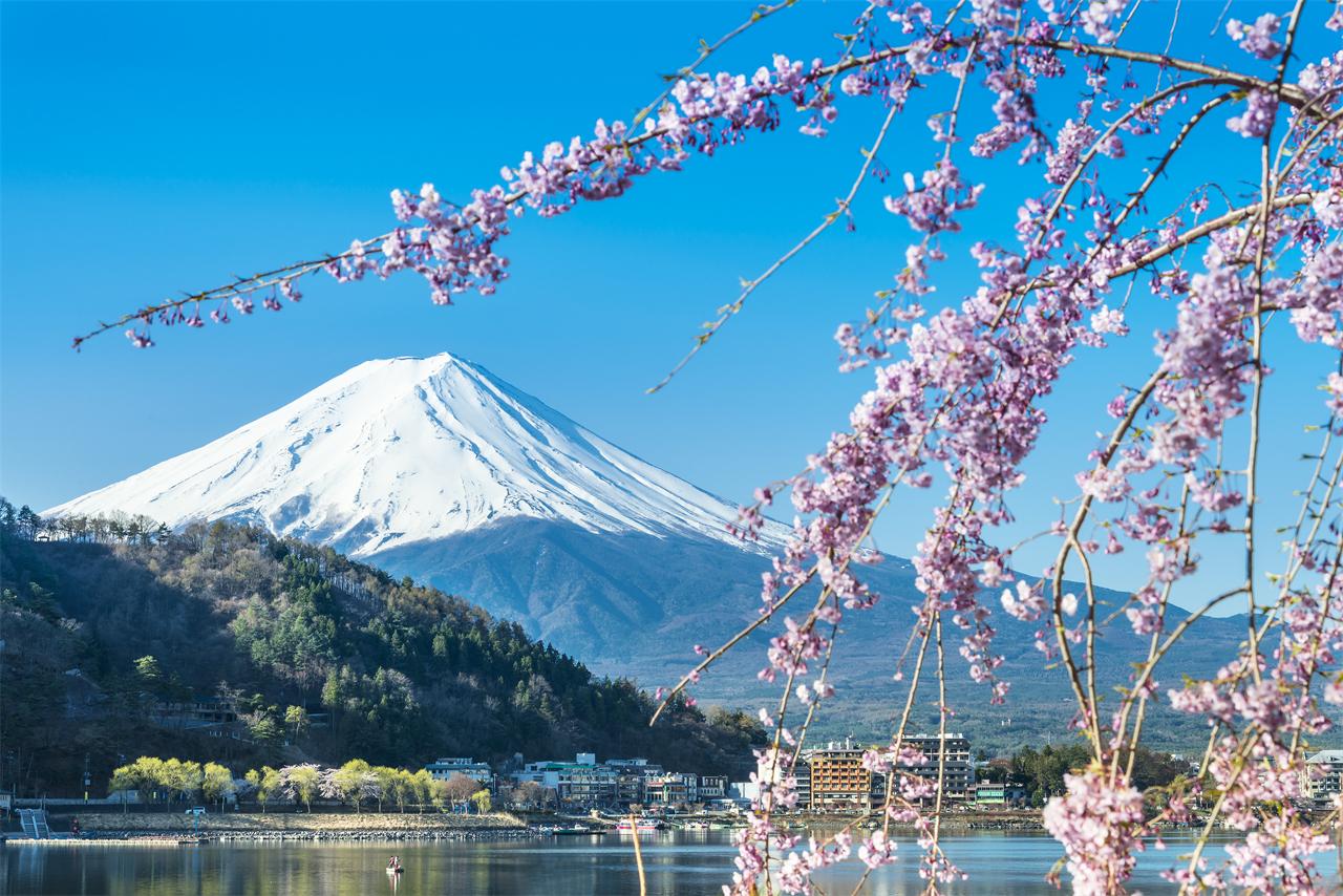 Mt. Fuji & Lake Kawaguchiko Full-Day Tour with Ropeway & Matcha