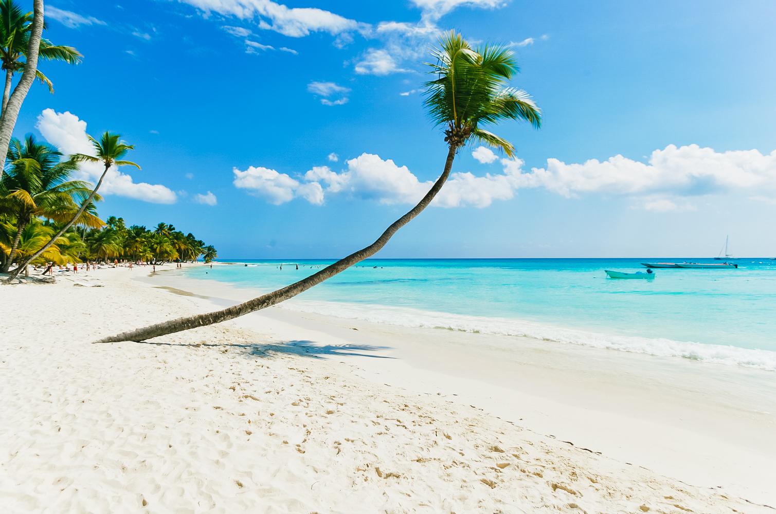 Saona Island Catamaran & Speedboat Expedition