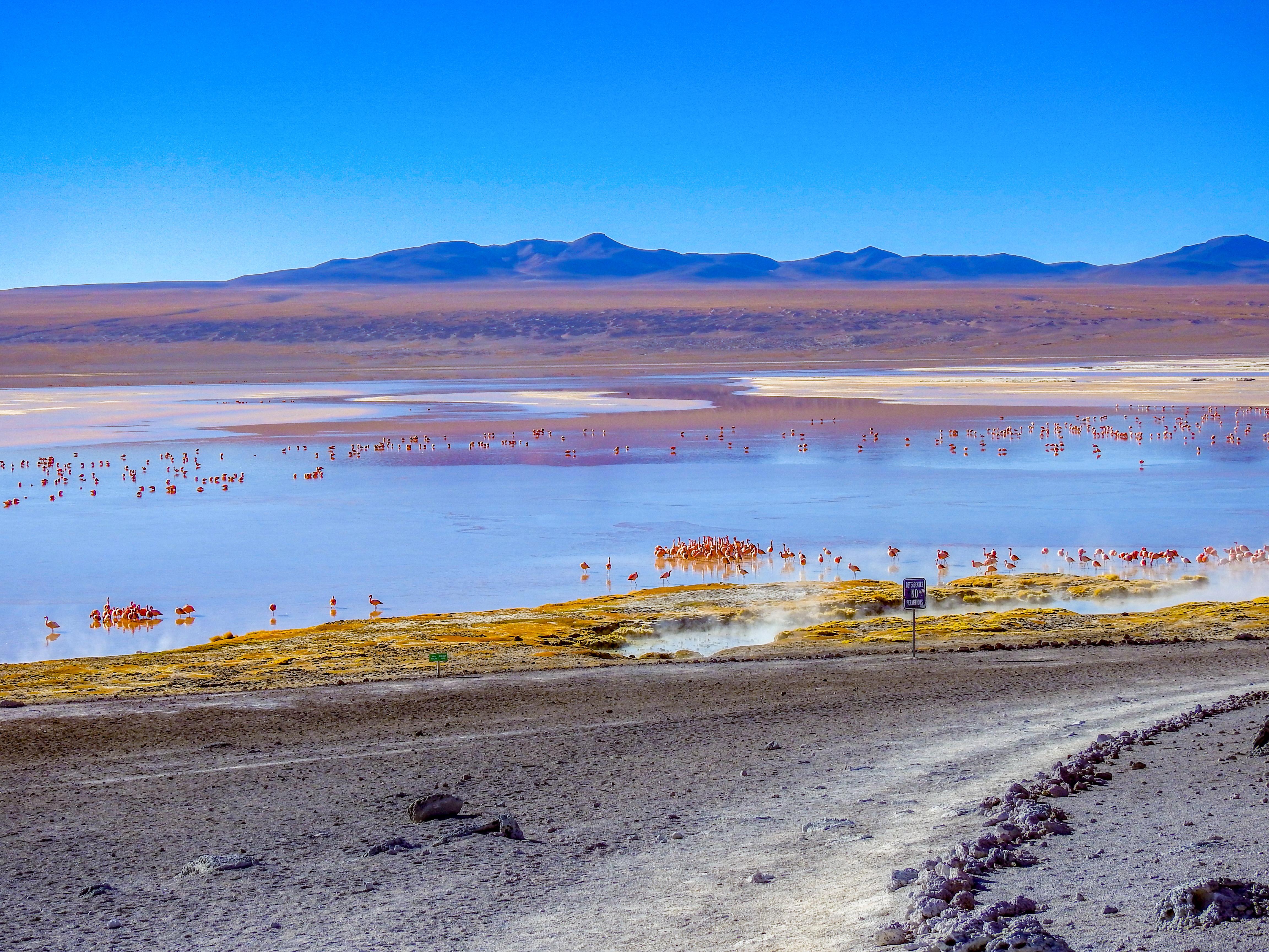 Expédition de 3 jours : Salar de Uyuni et lagunes