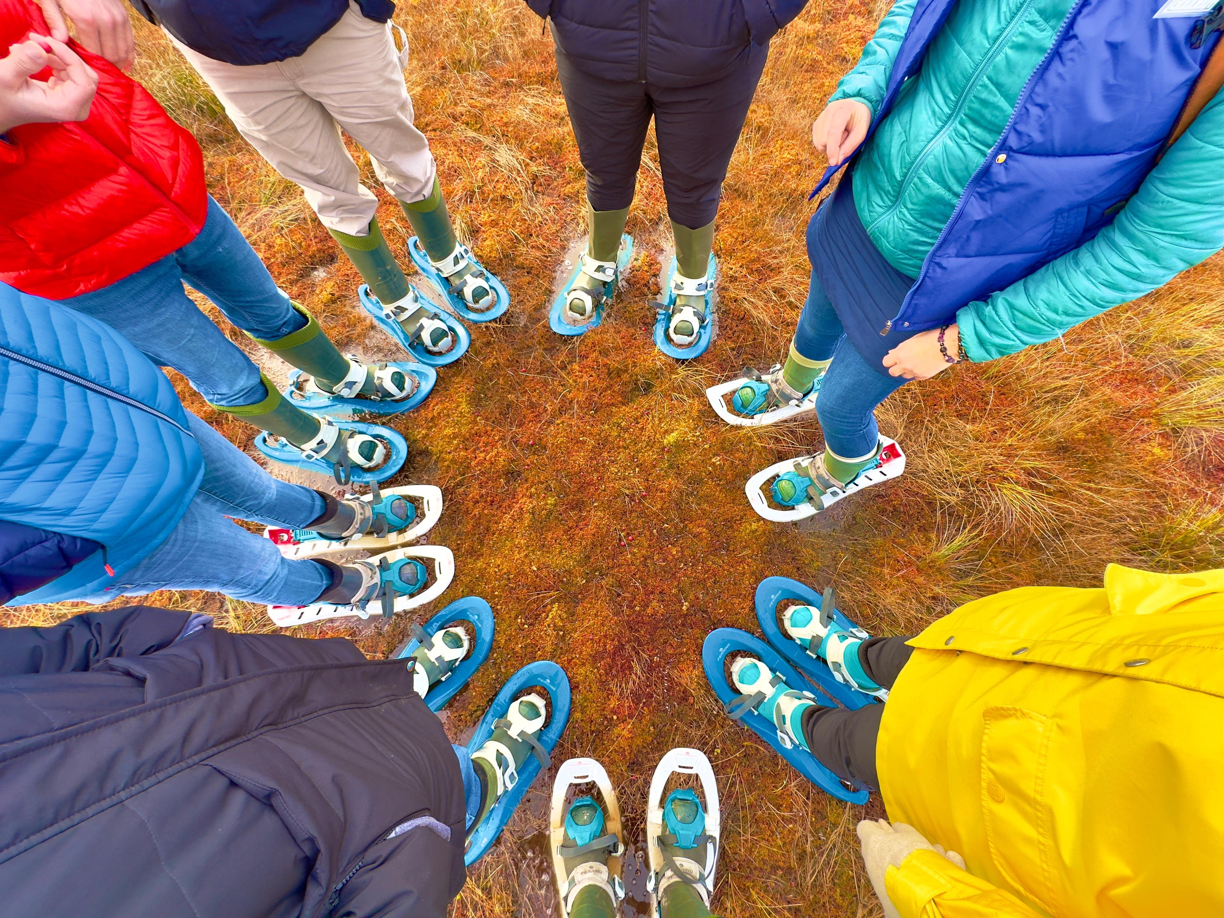 From Tallinn: Guided Bog-Shoe Hiking Tour