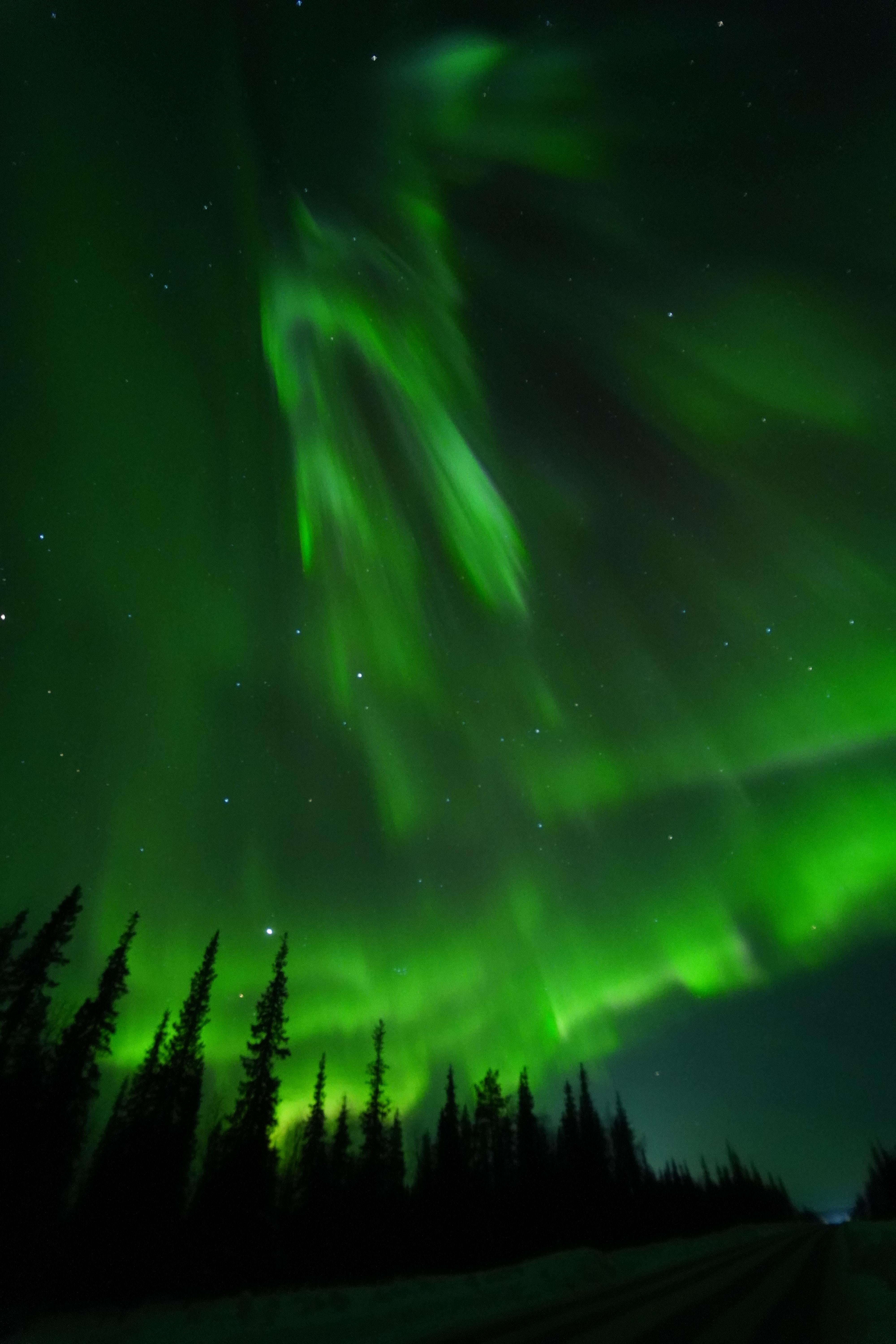 Northern lights tour, image 36