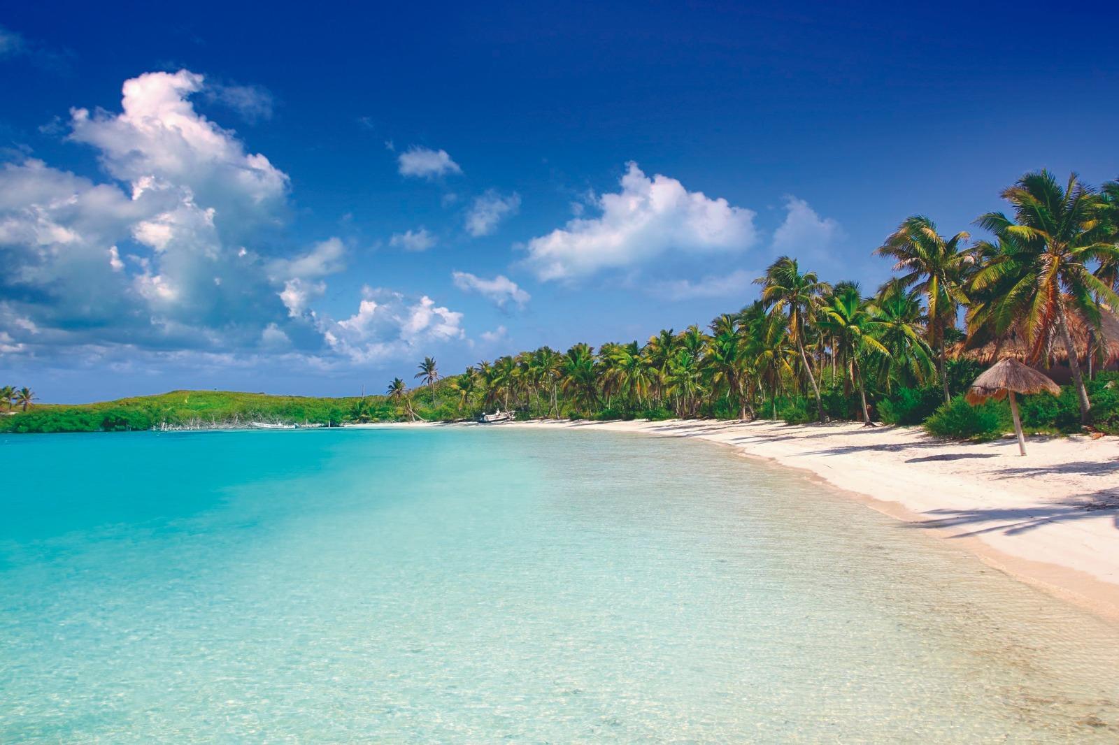 Contoy Island & Isla Mujeres Day Adventure
