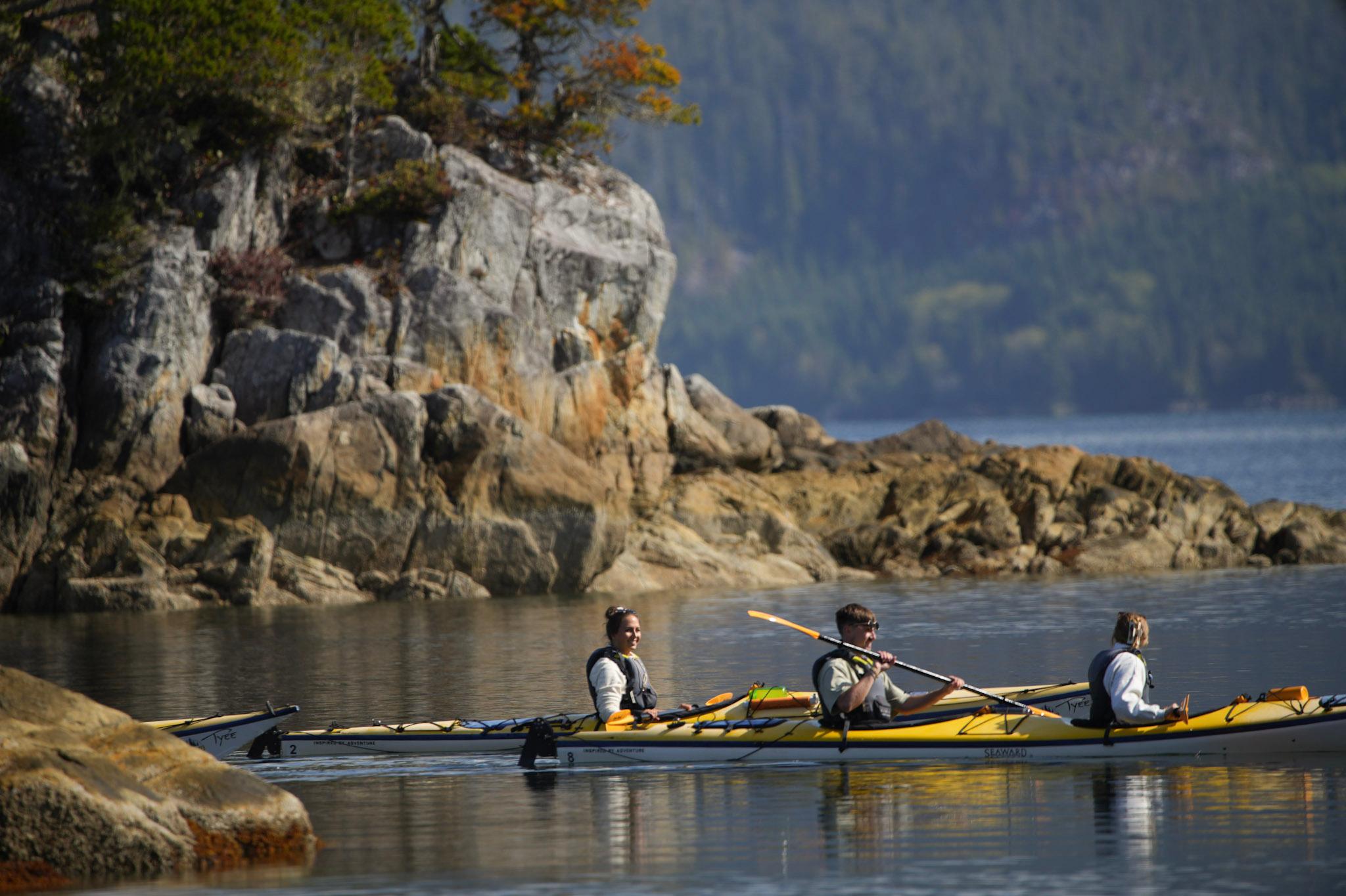 Tofino sea kayaking Clayoquot Sound sheltered coastal waters wildlife — image 6