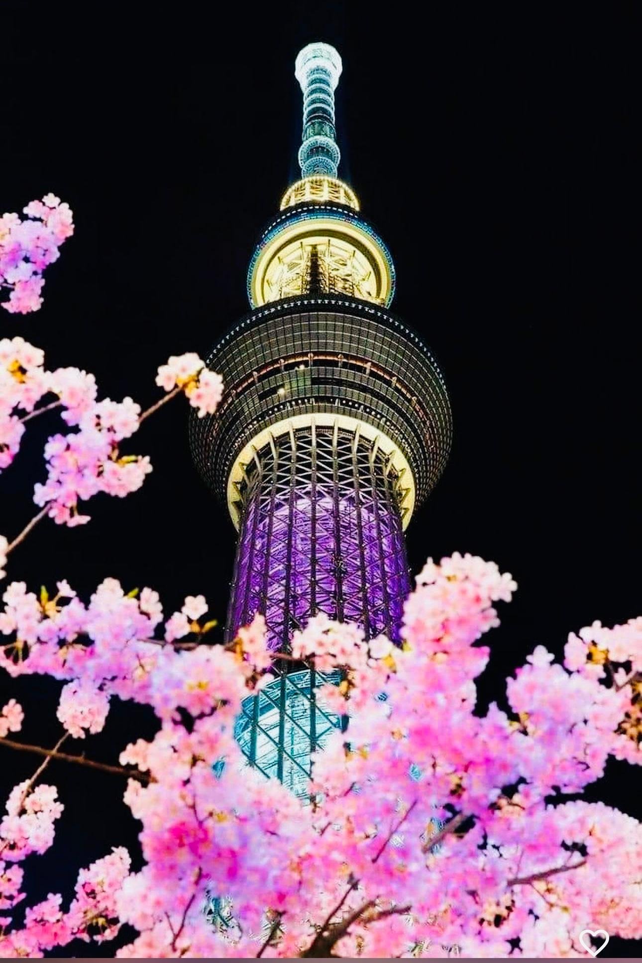 Private Tokyo Night Tour with Hotel Pickup