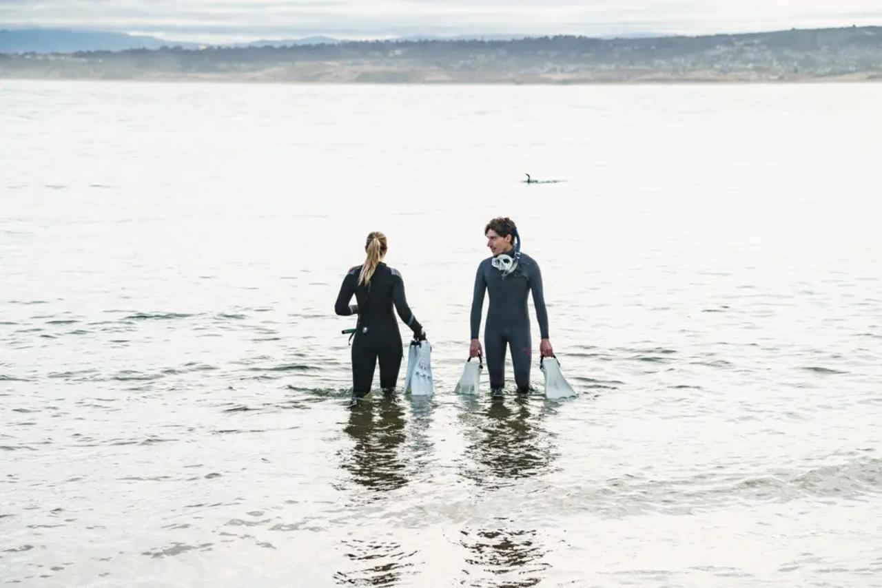 Monterey: Snorkeling Tour with Guide - 2026 (Verified Reviews)