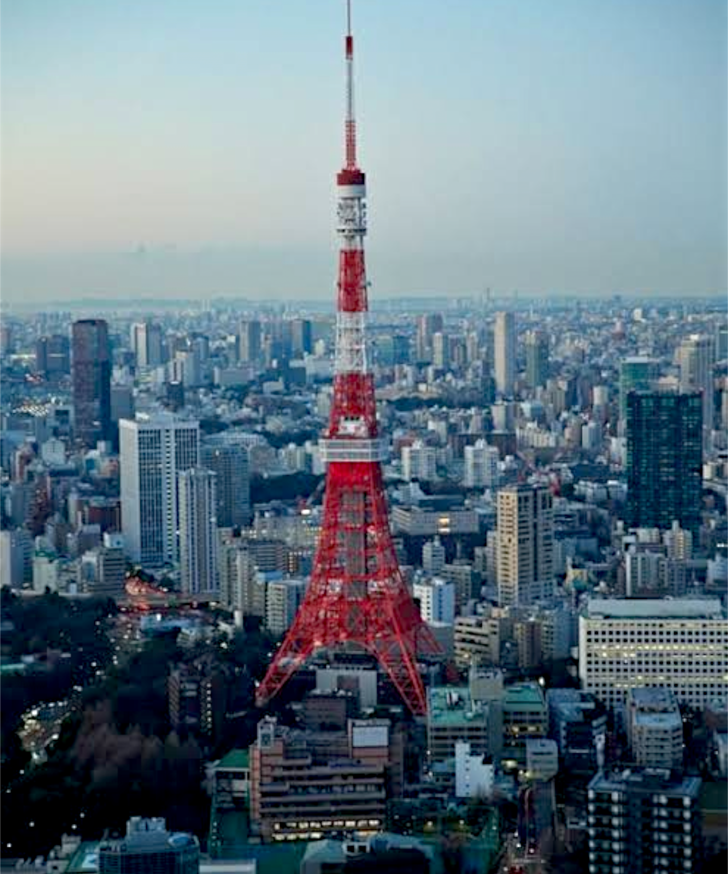 Tokyo Full-Day Private Guided Tour with Hotel Transfers