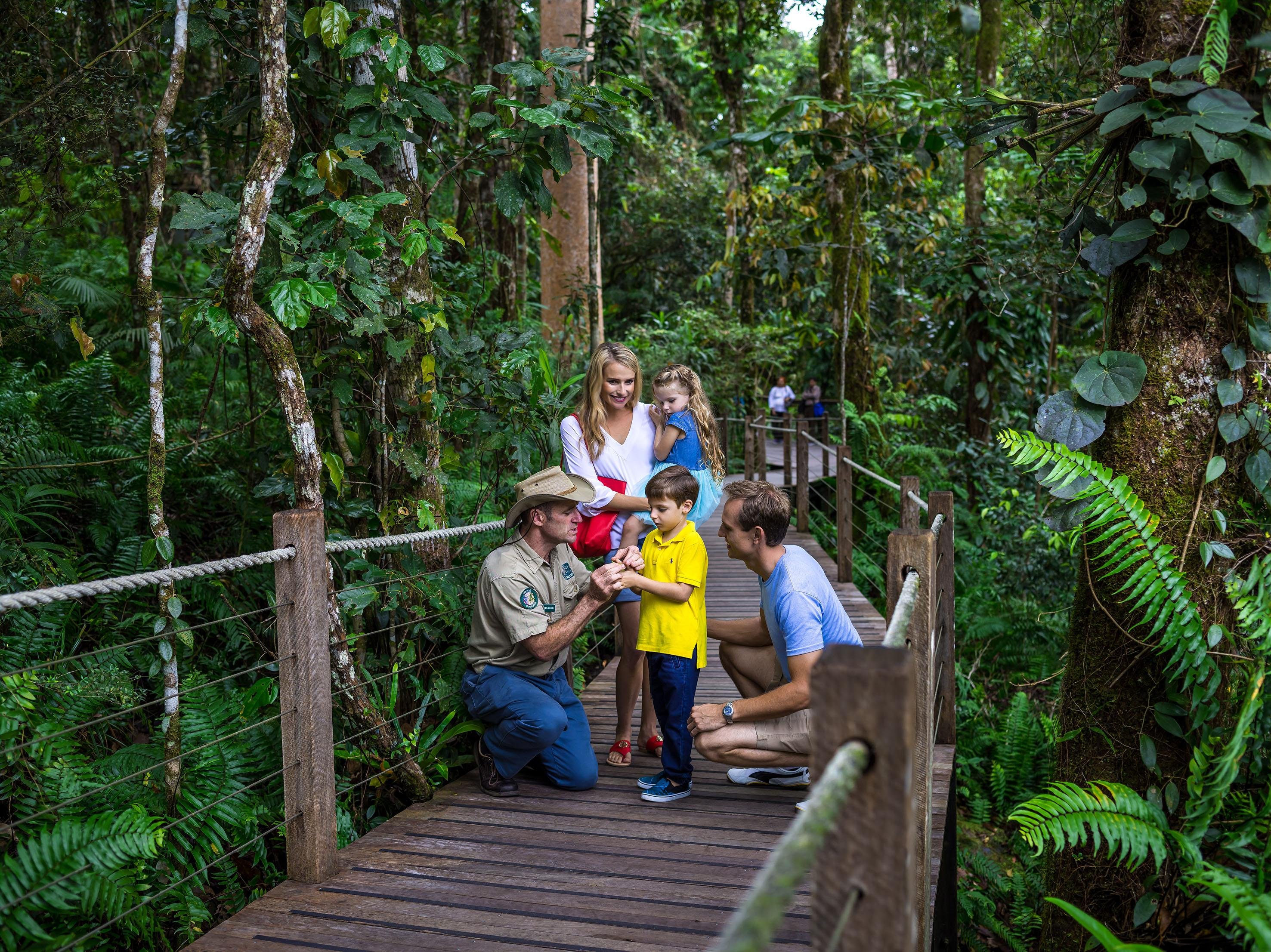 Cairns to Kuranda: Scenic Railway & Skyrail Rainforest Cableway Day Trip