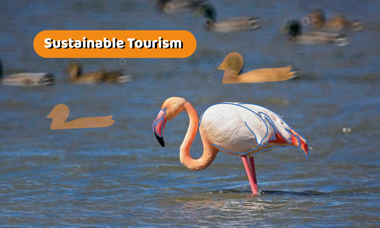 Albufera Natural Park Eco-Tour and Sunset Cruise from Valencia
