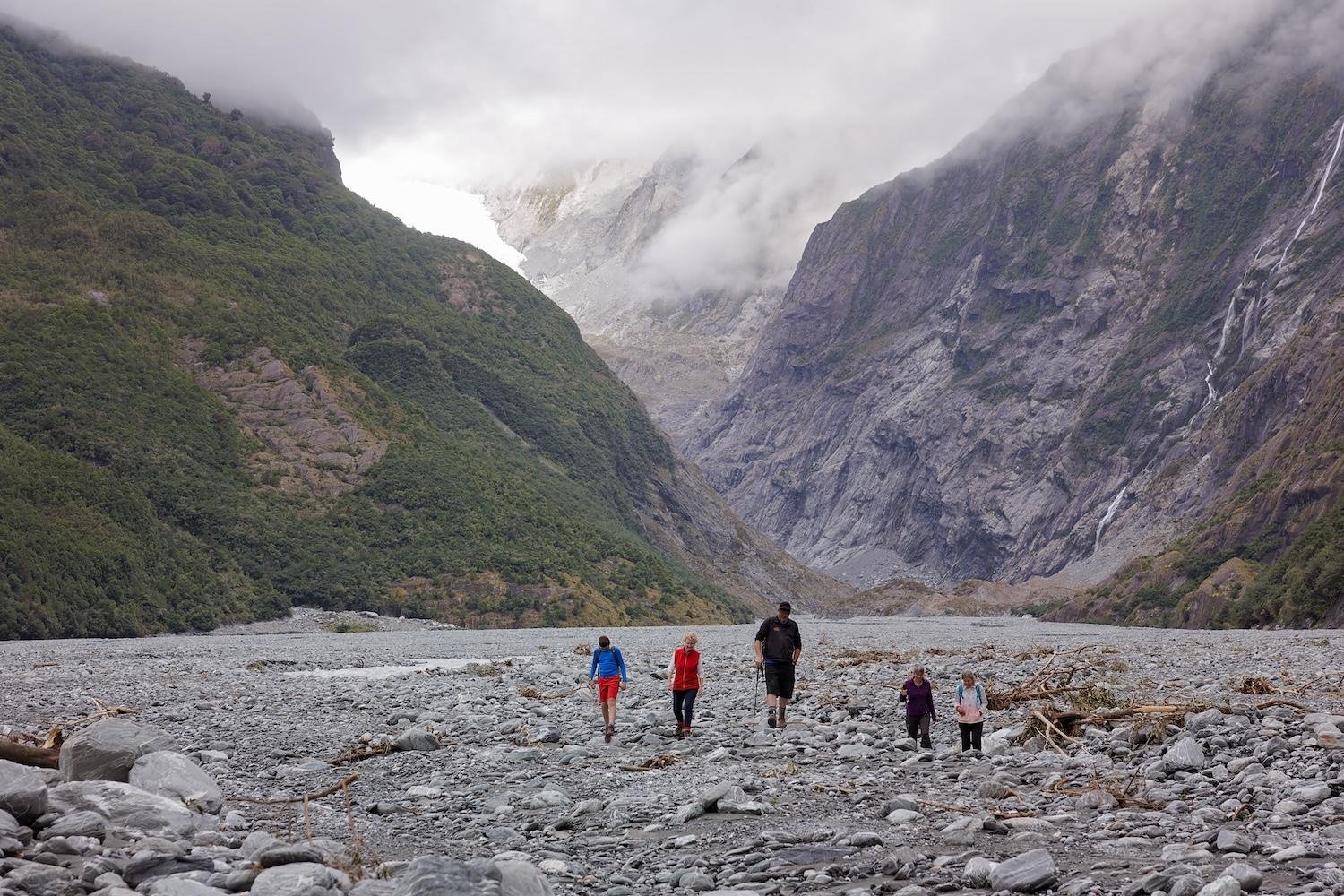 Franz Josef Glacier Valley Guided Nature Walk