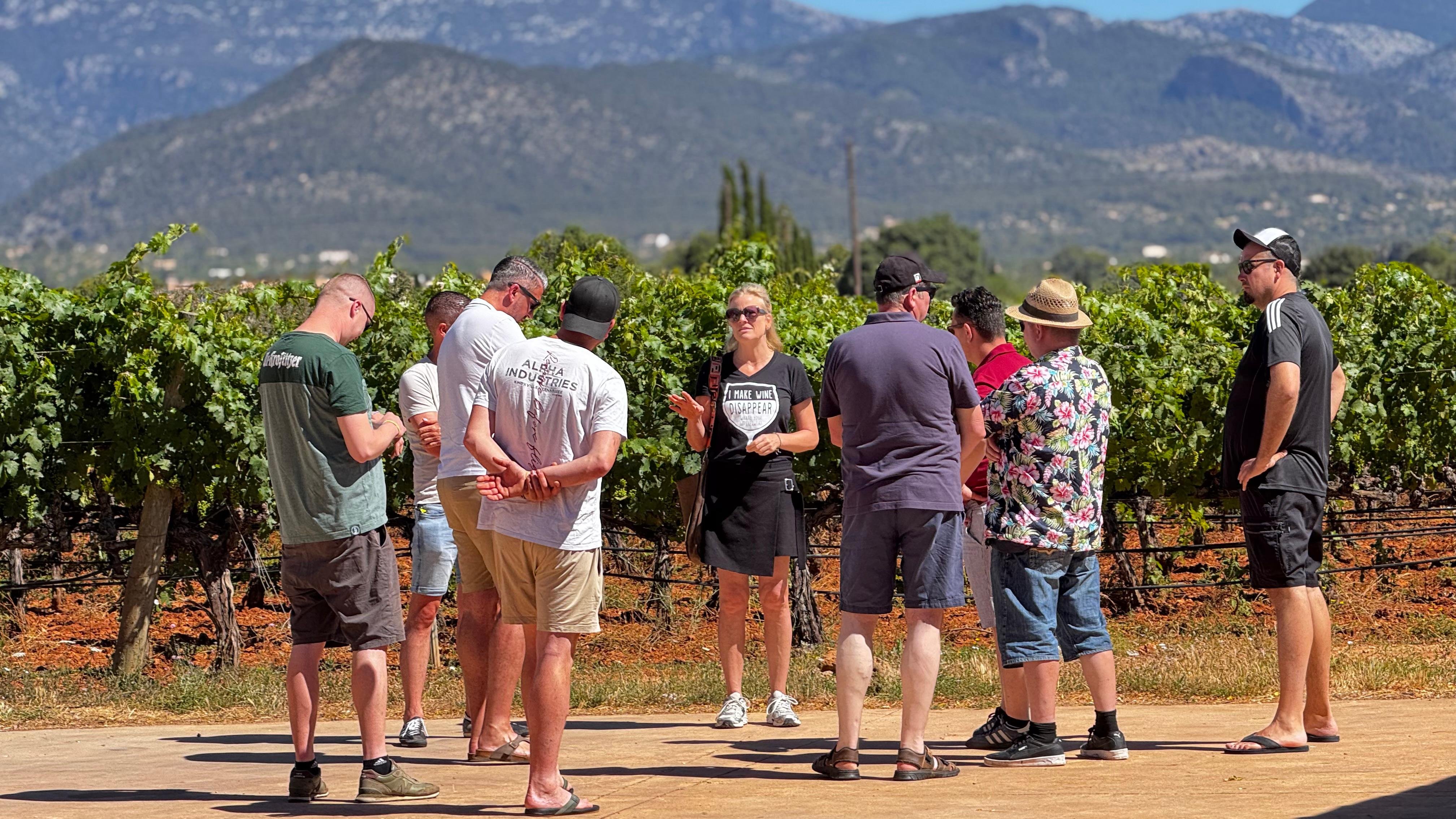 Mallorca Family Winery Tour & Tasting with Mountain Backdrop