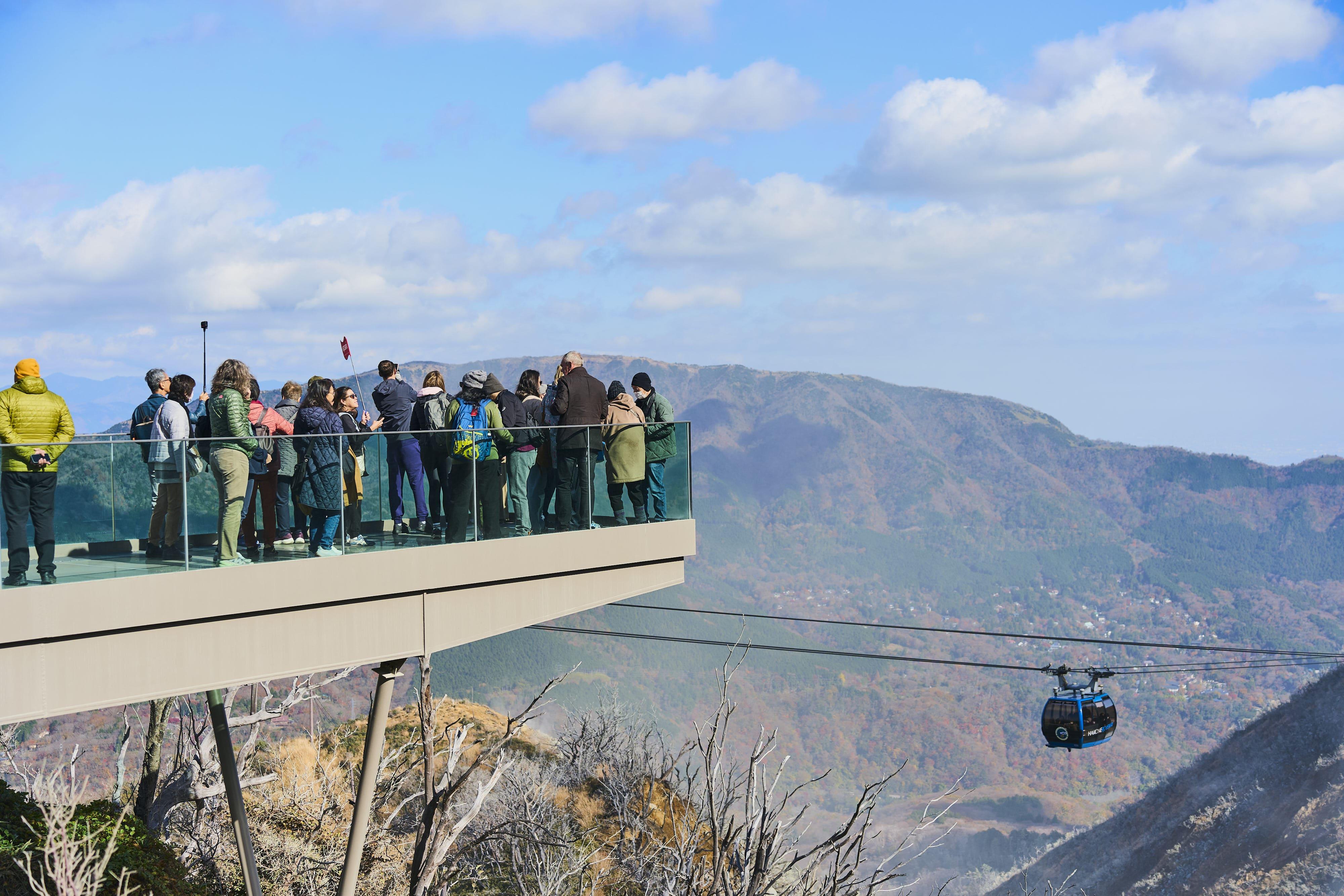 Mt. Fuji & Hakone Day Trip: Pirate Cruise, Ropeway & Shrine from Tokyo