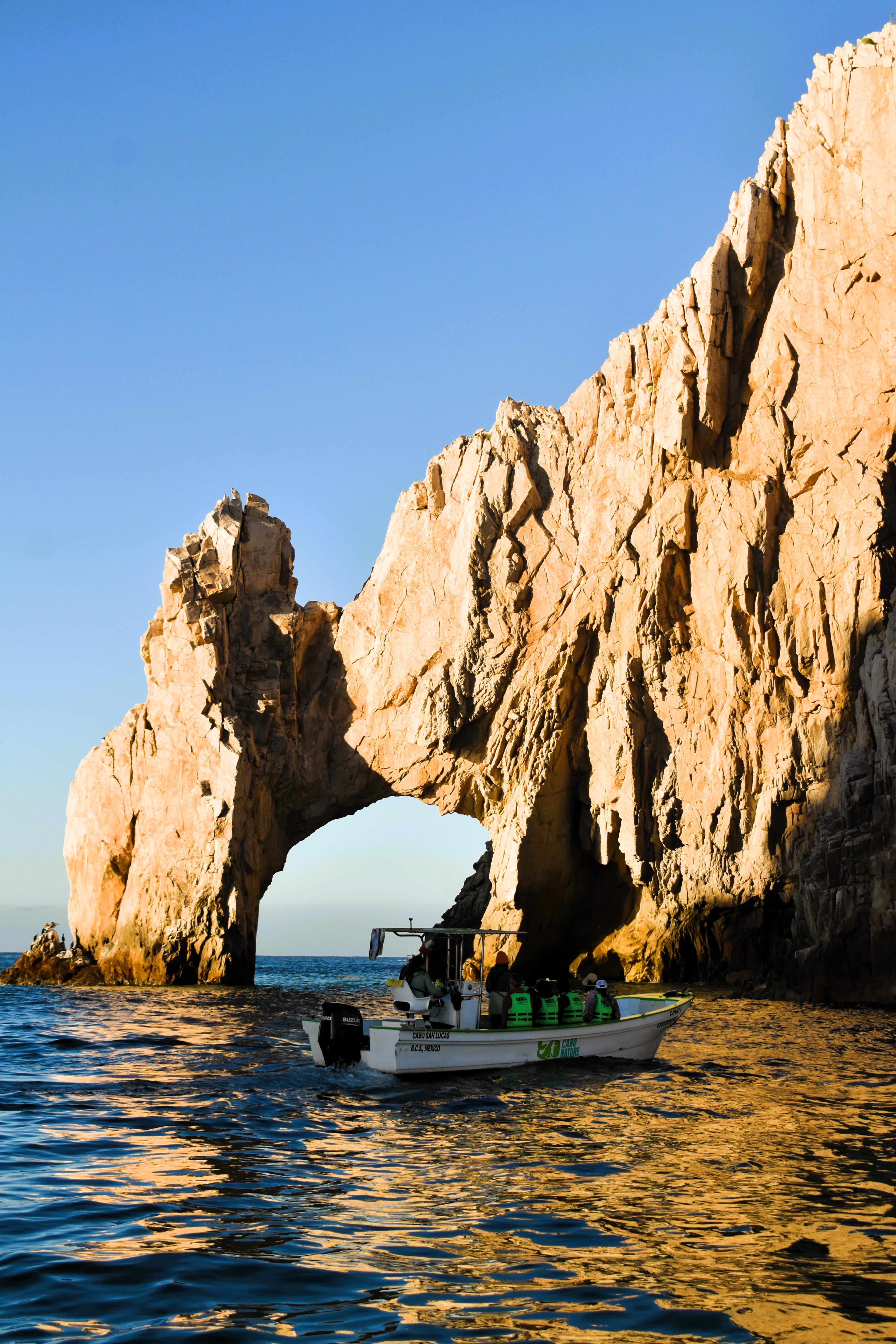 Cabo Whale Watching with All-Female Crew & Marine Biologist
