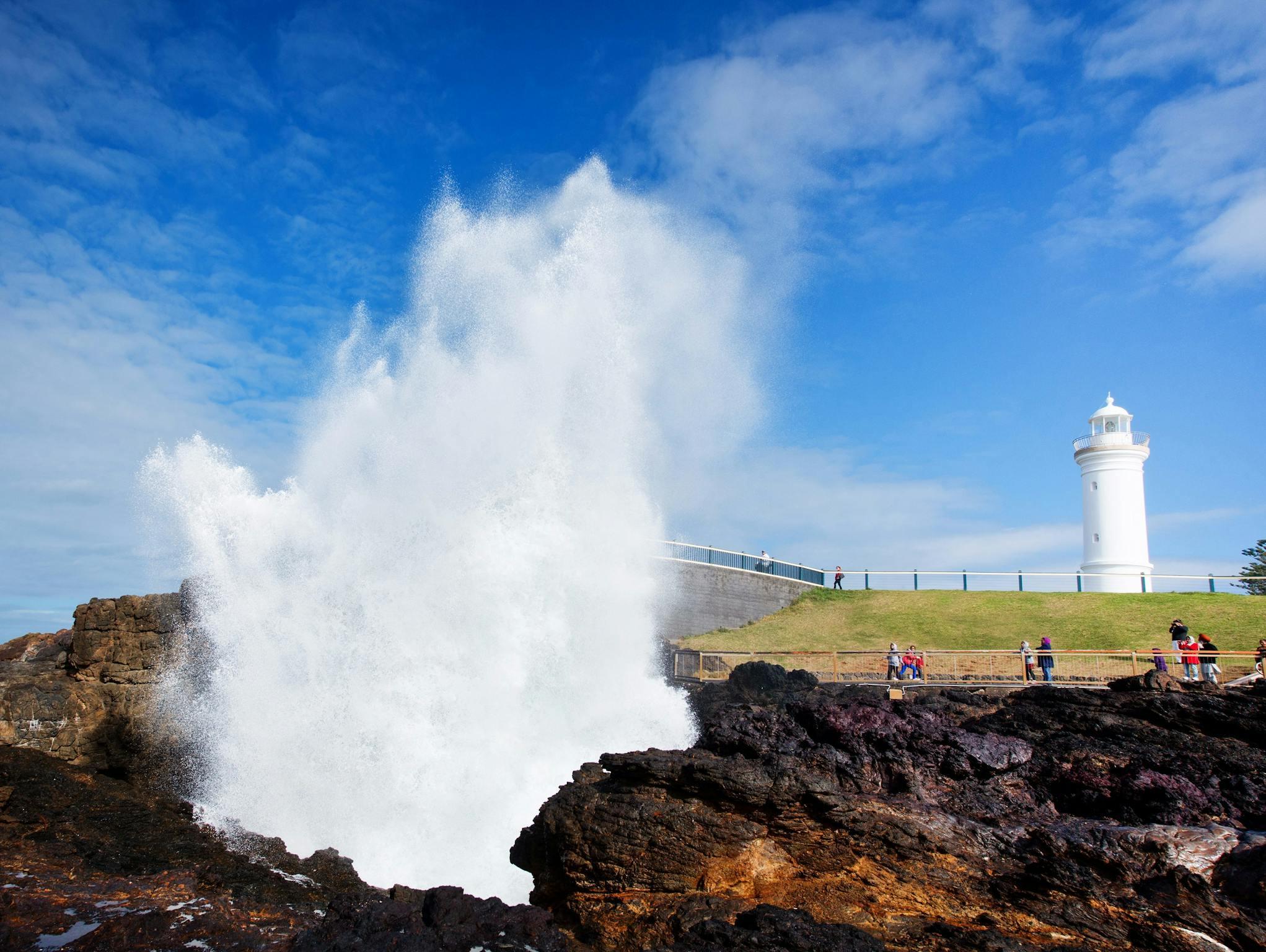 Kiama & South Coast Private Day Tour from Sydney