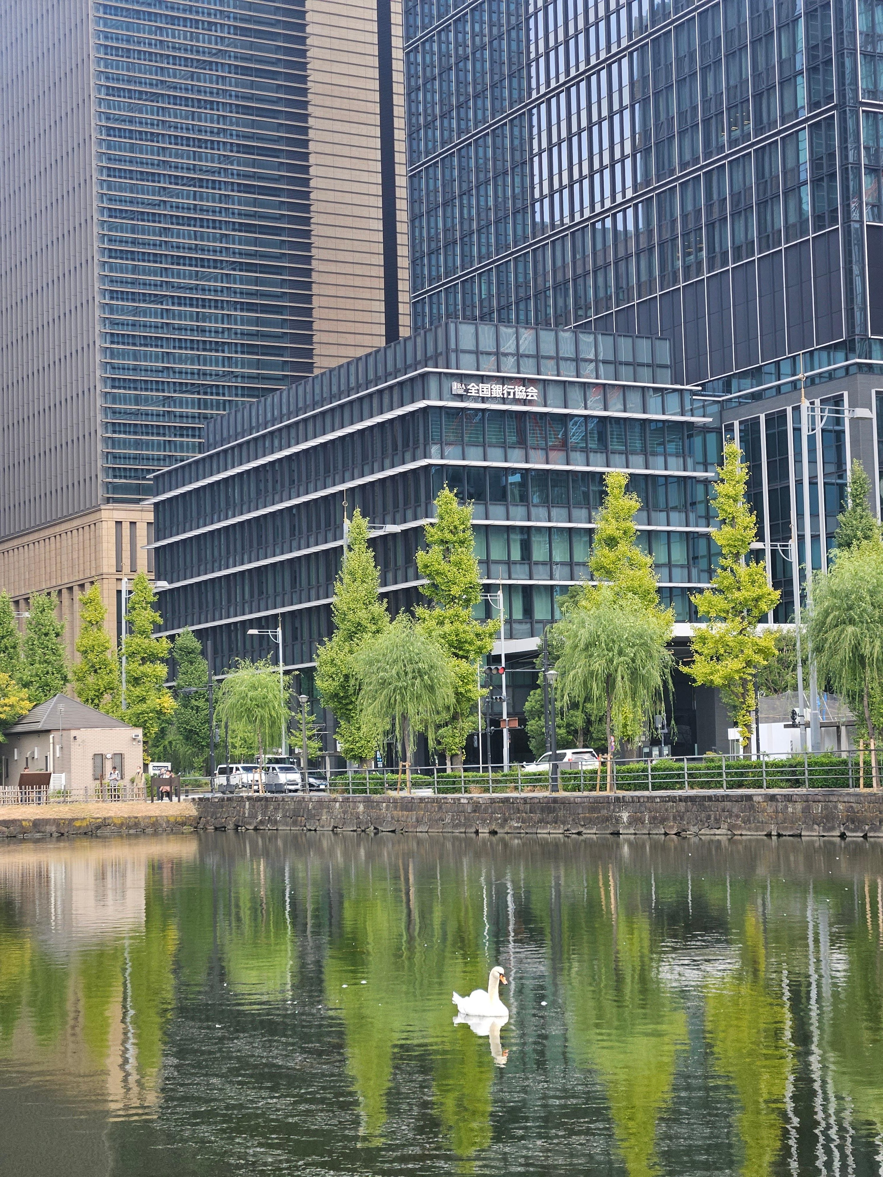 Tokyo Imperial Palace & Shogun History Walking Tour