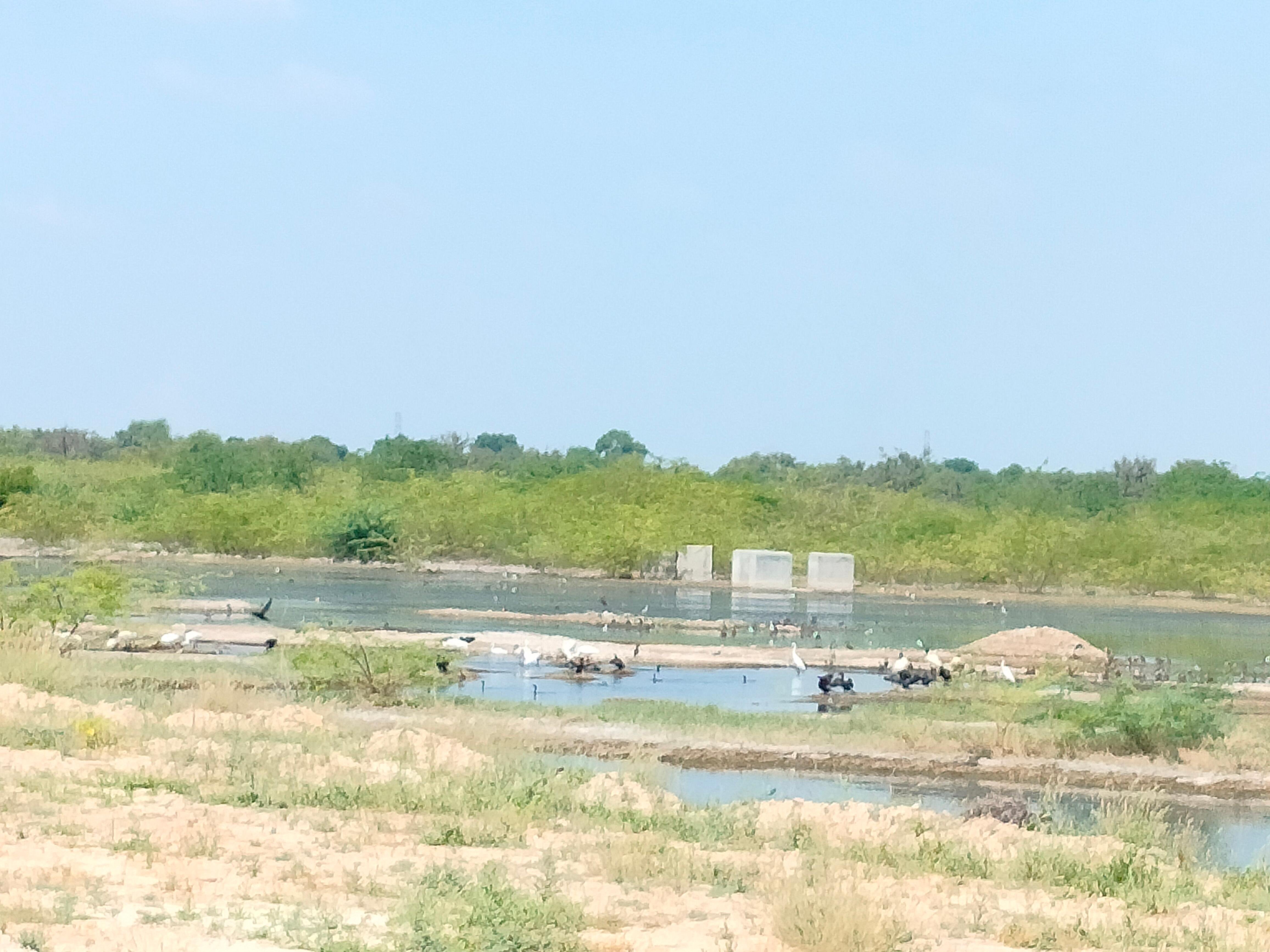 Bishnoi Village Cultural Jeep Safari