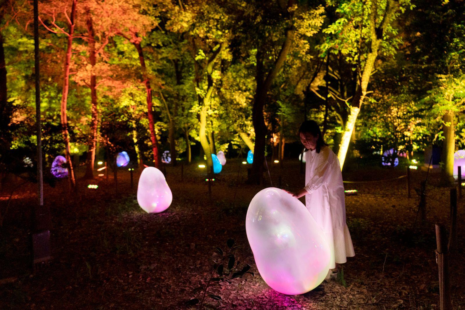 Osaka: teamLab Botanical Garden Night Entry