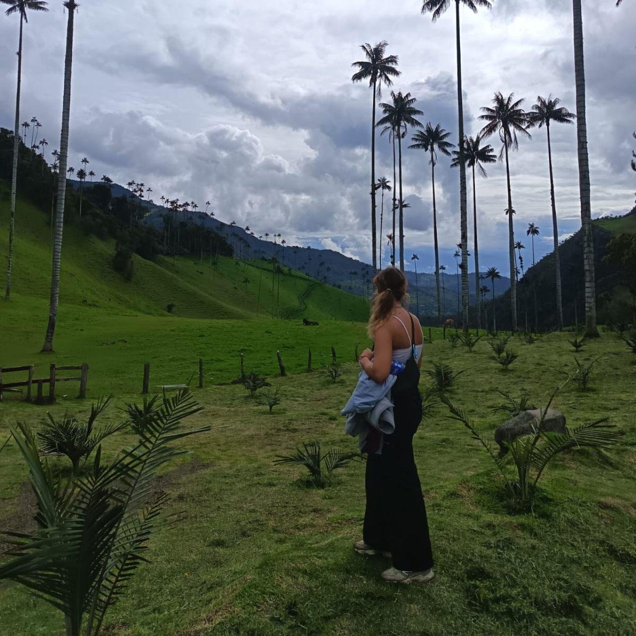 Salento & Cocora Valley Day Tour