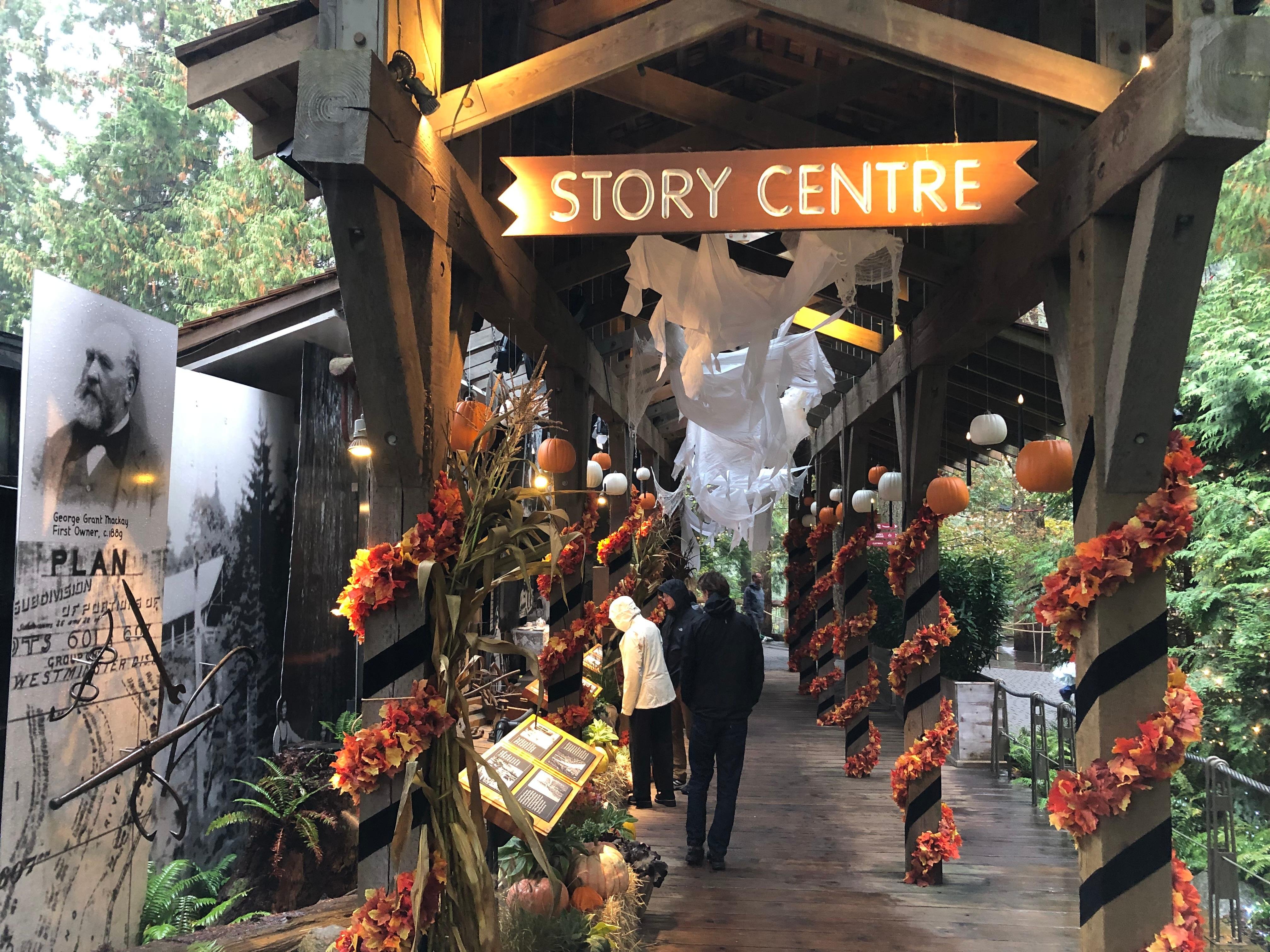 Capilano Suspension Bridge & Stanley Park Small Group Tour