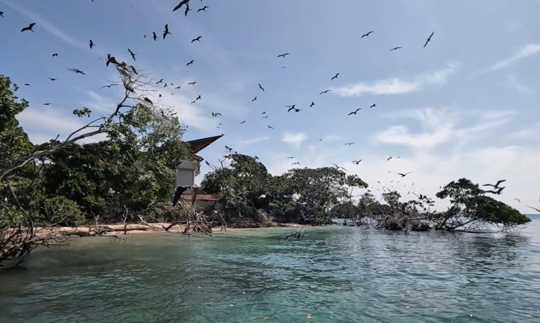 Cartagena: Rosario Islands, Playa Blanca & Snorkeling Excursion
