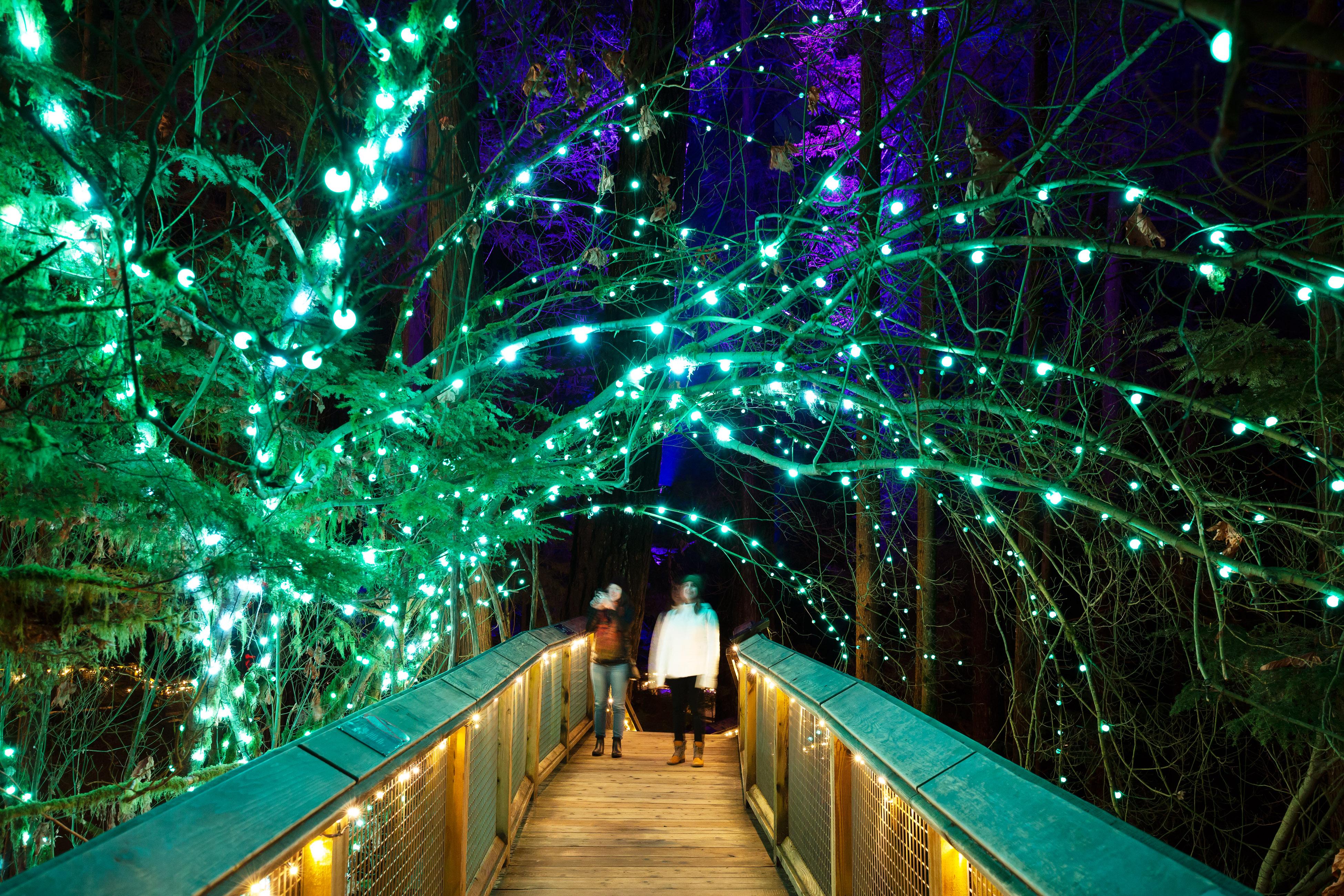 Capilano Suspension Bridge Park Entry