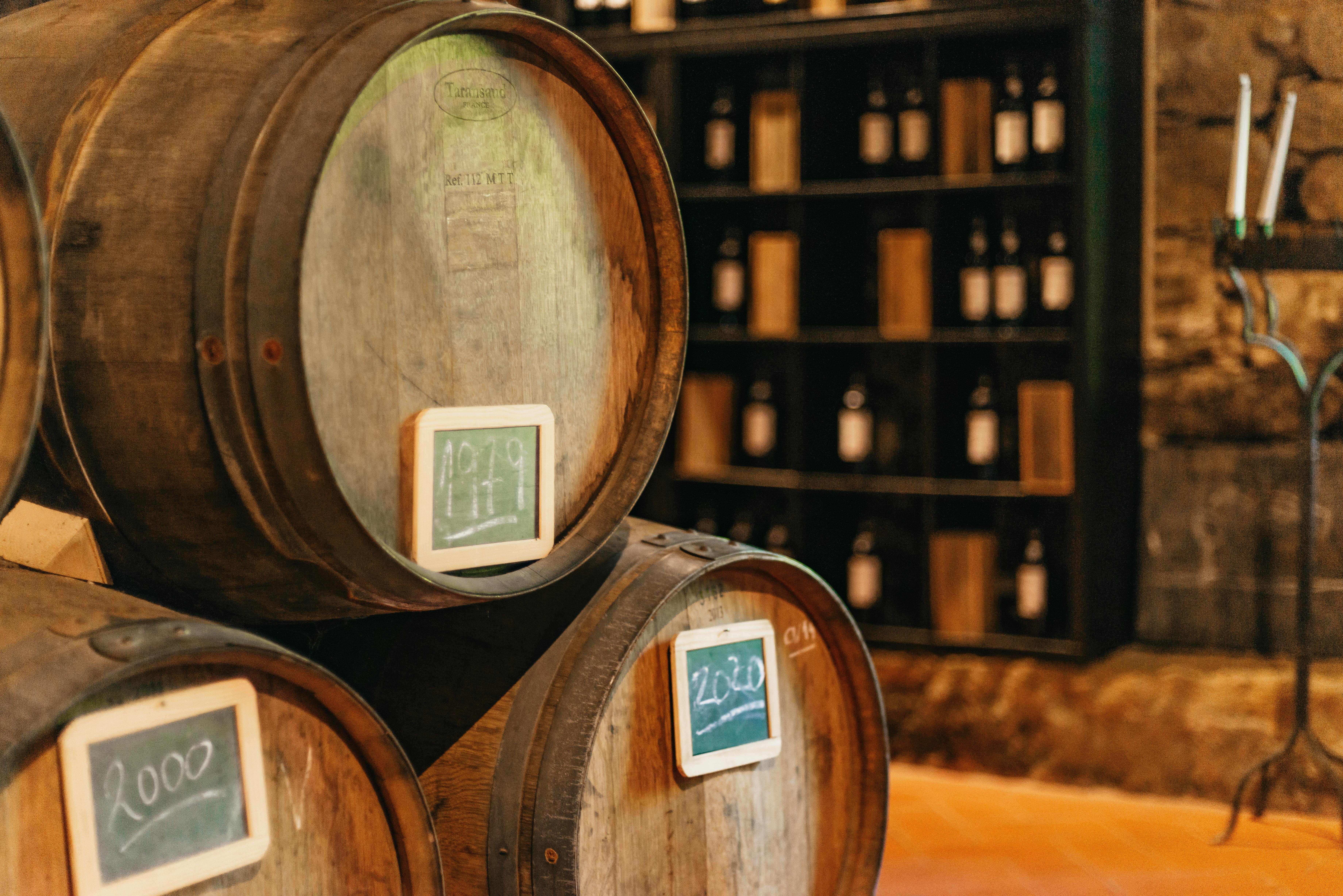 Douro Valley Wine Tour with River Cruise from Porto