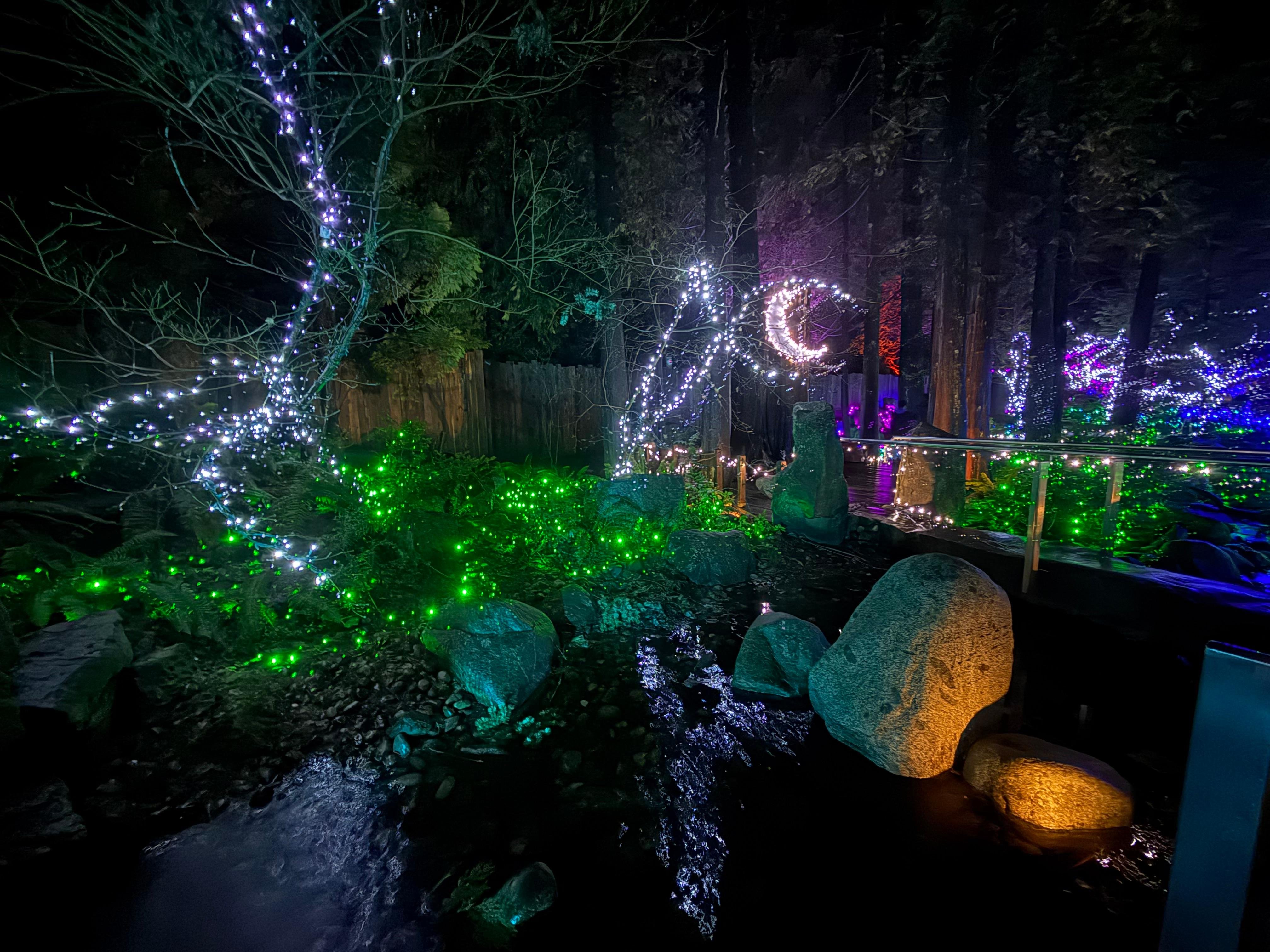 Capilano Suspension Bridge & Stanley Park Small Group Tour