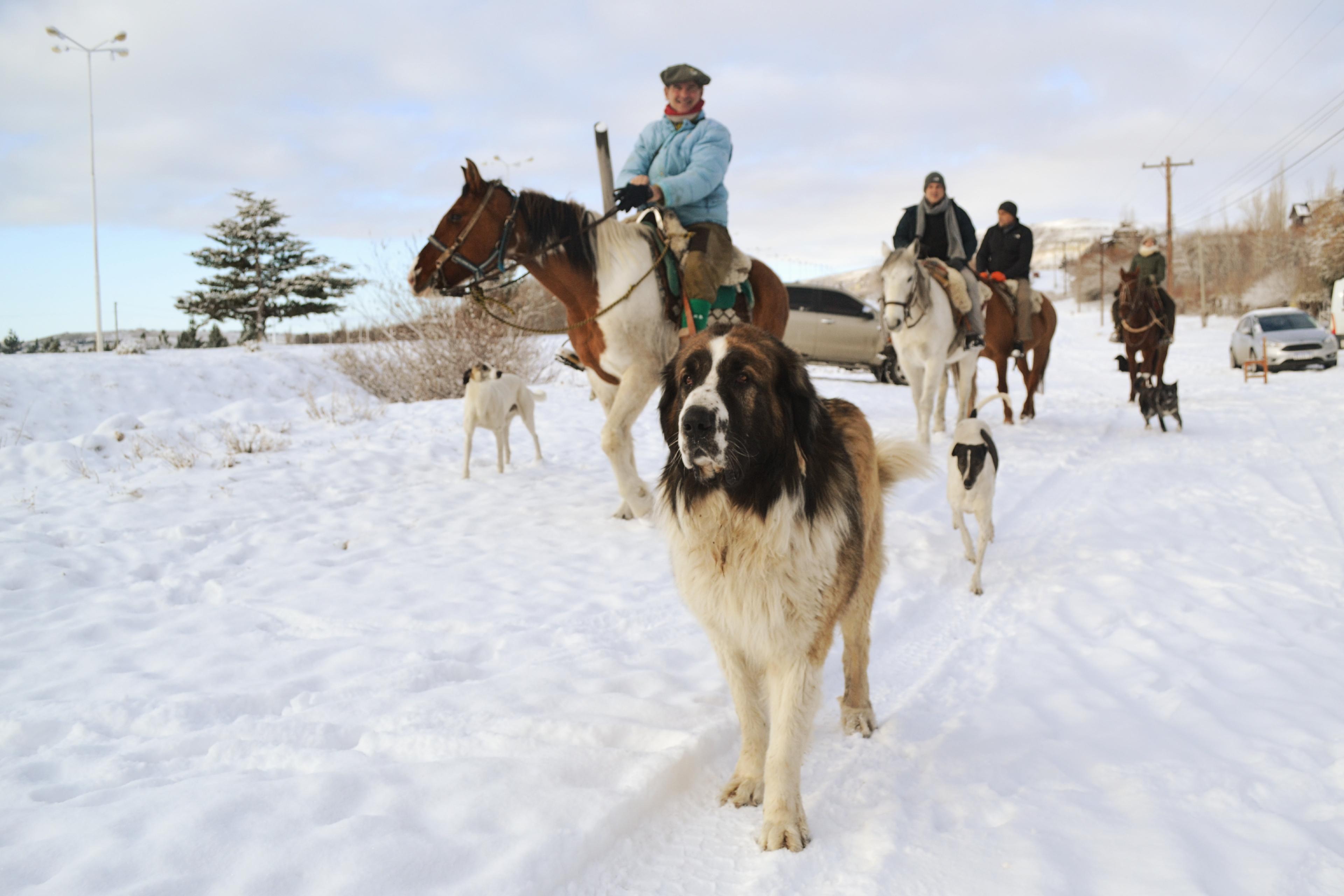 Lake Argentino Horseback Riding Adventure
