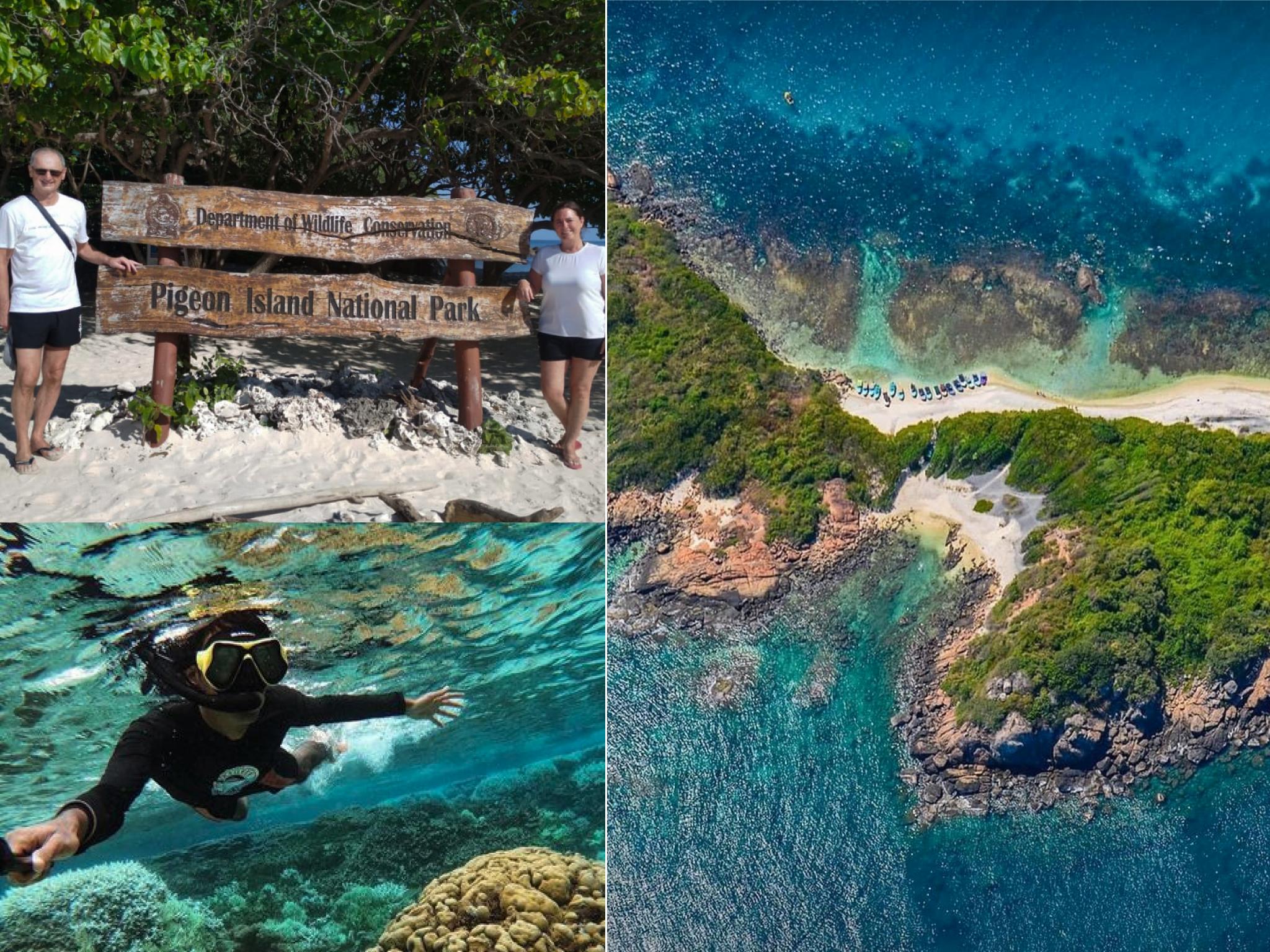 Pigeon Island Snorkeling: Sharks, Turtles & Coral Reefs