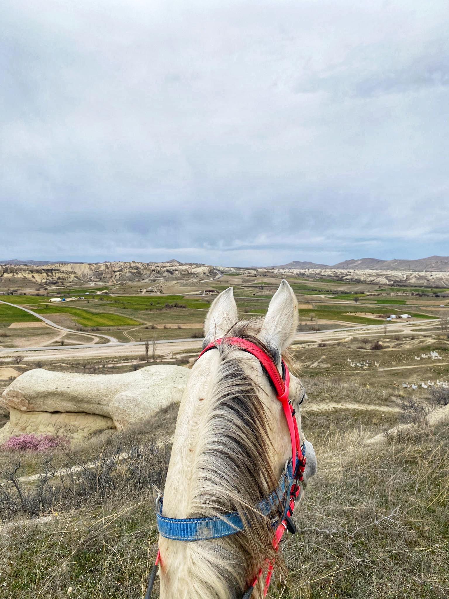 Cappadocia Scenic Valley Horseback Riding Tour