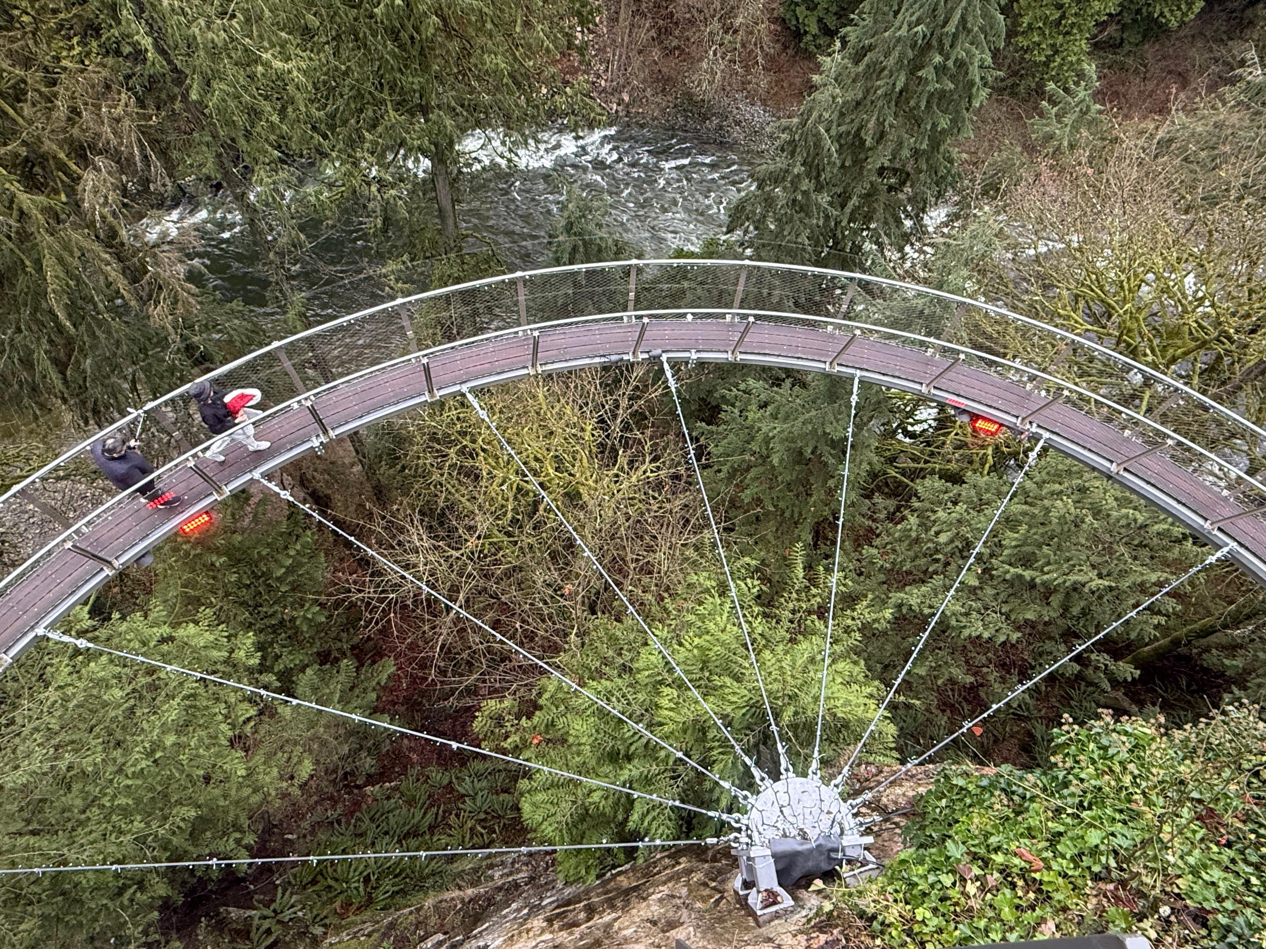 5-in-1 Vancouver Highlights: Grouse Mountain & Capilano Bridge Private Car Tour