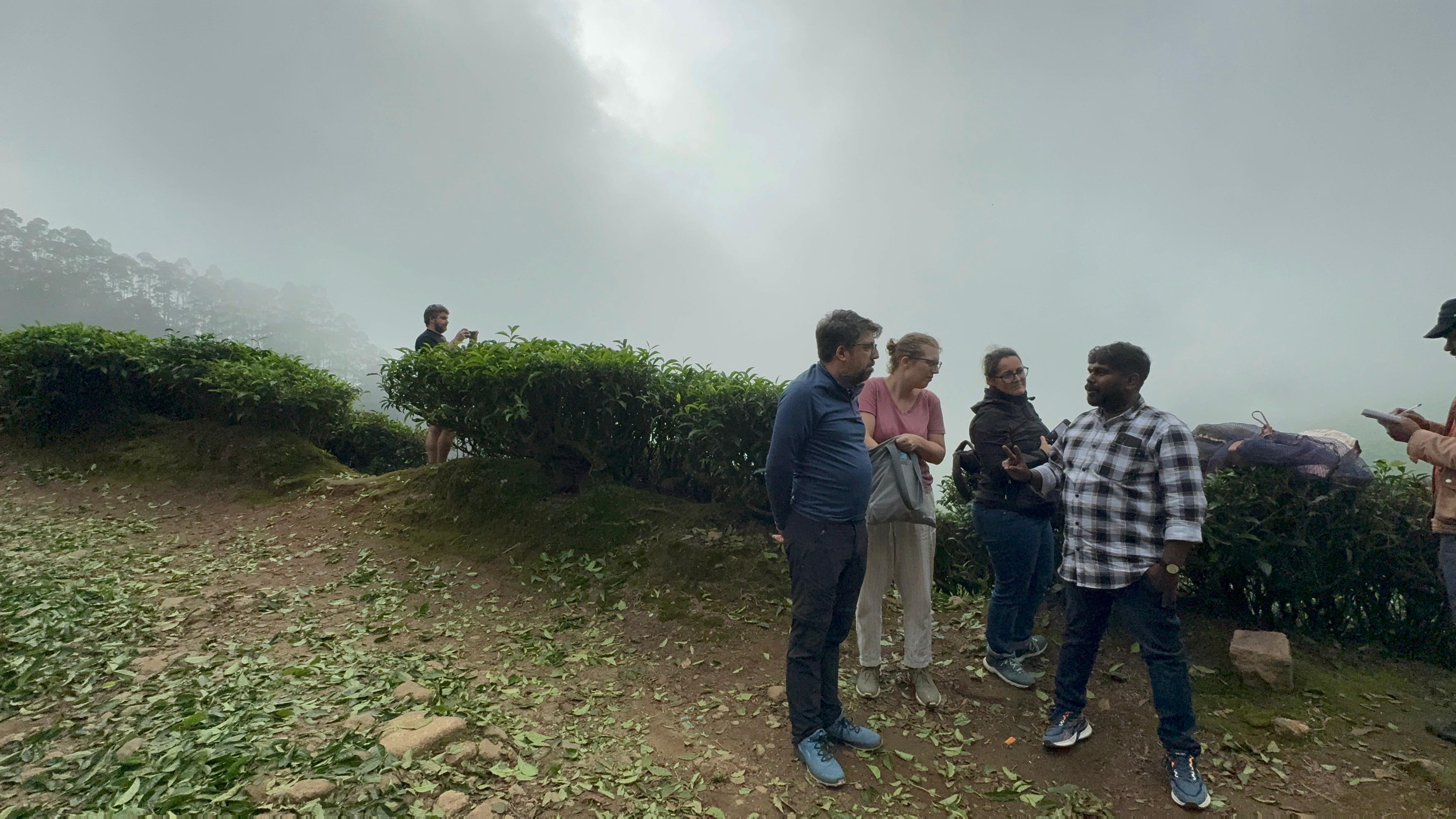 Munnar: Kolukkumalai High-Altitude Tea Estate Jeep Adventure