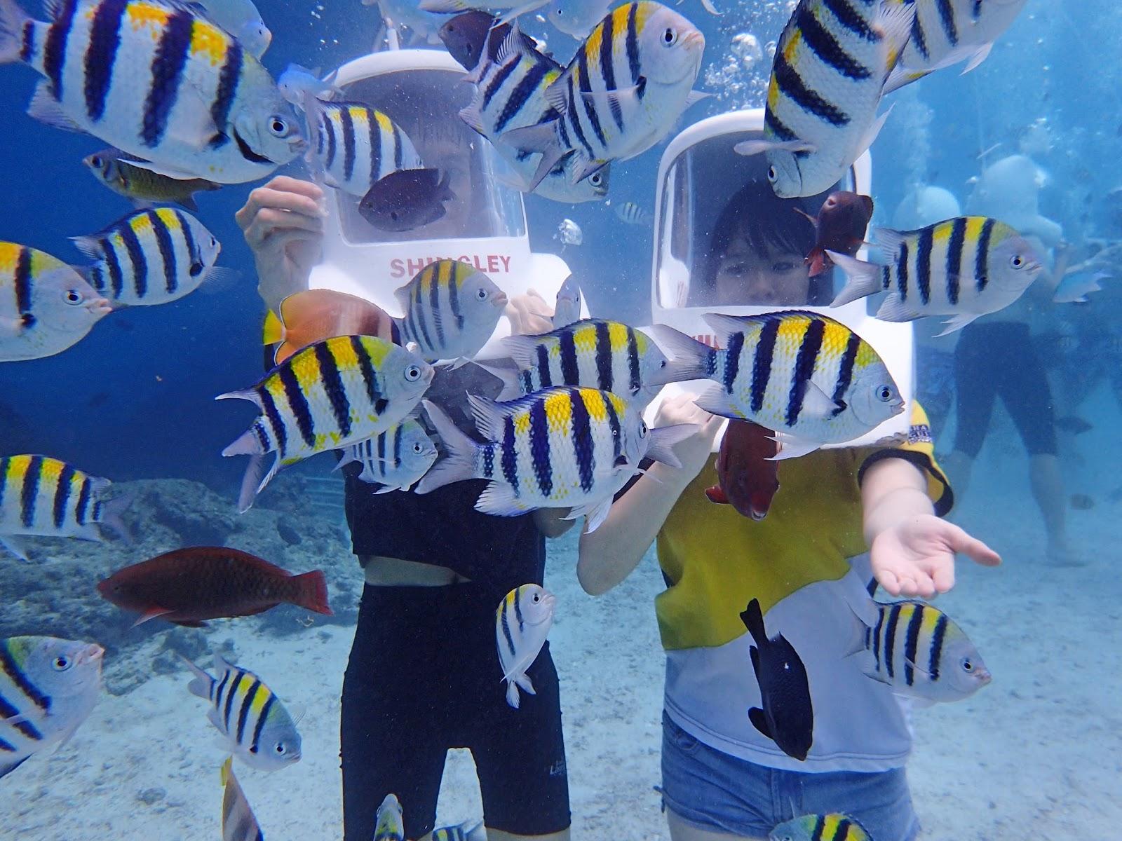 Boracay Aquanaut Underwater Adventure