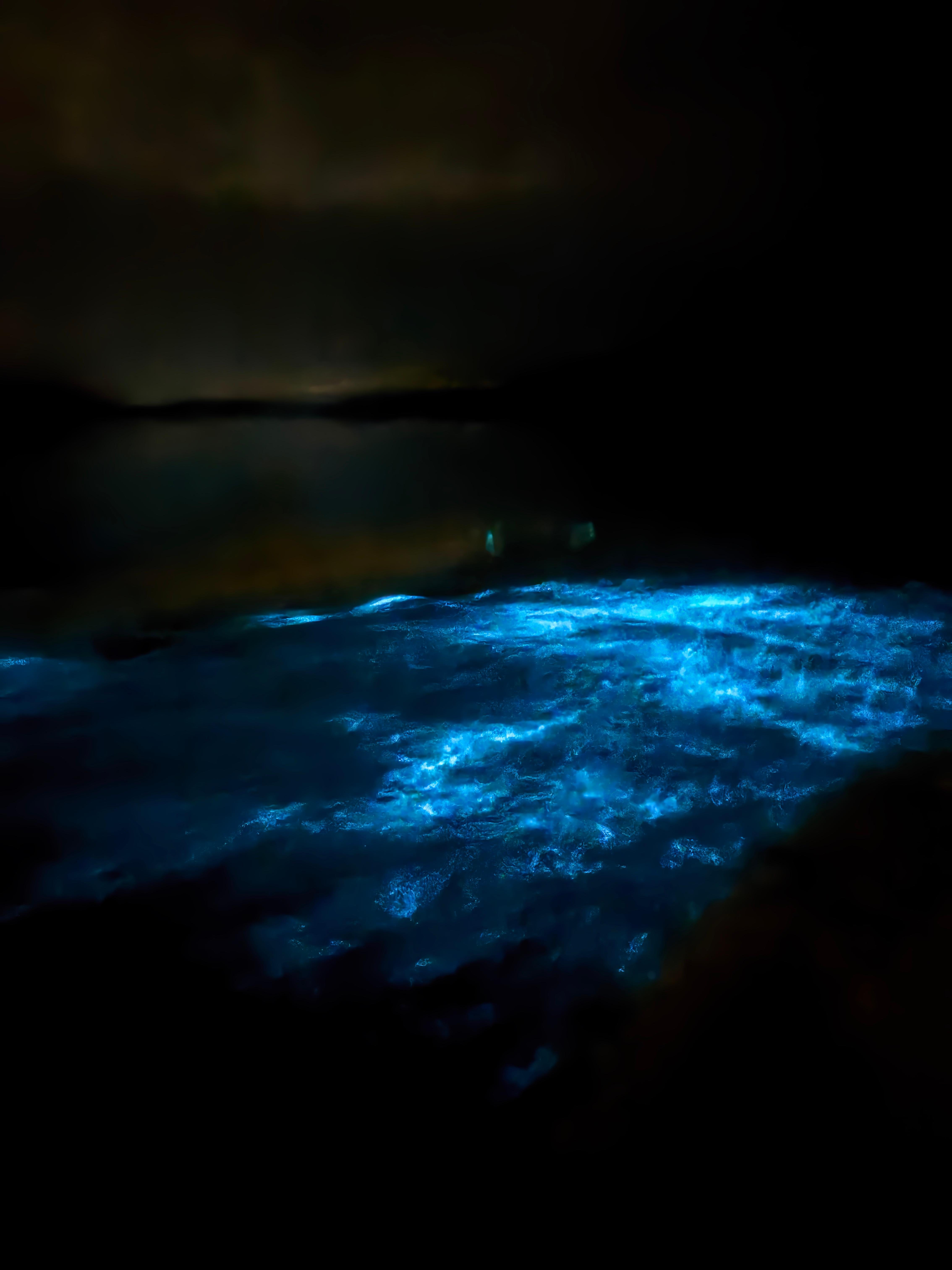 Vieques Bioluminescent Bay Transparent Canoe Adventure