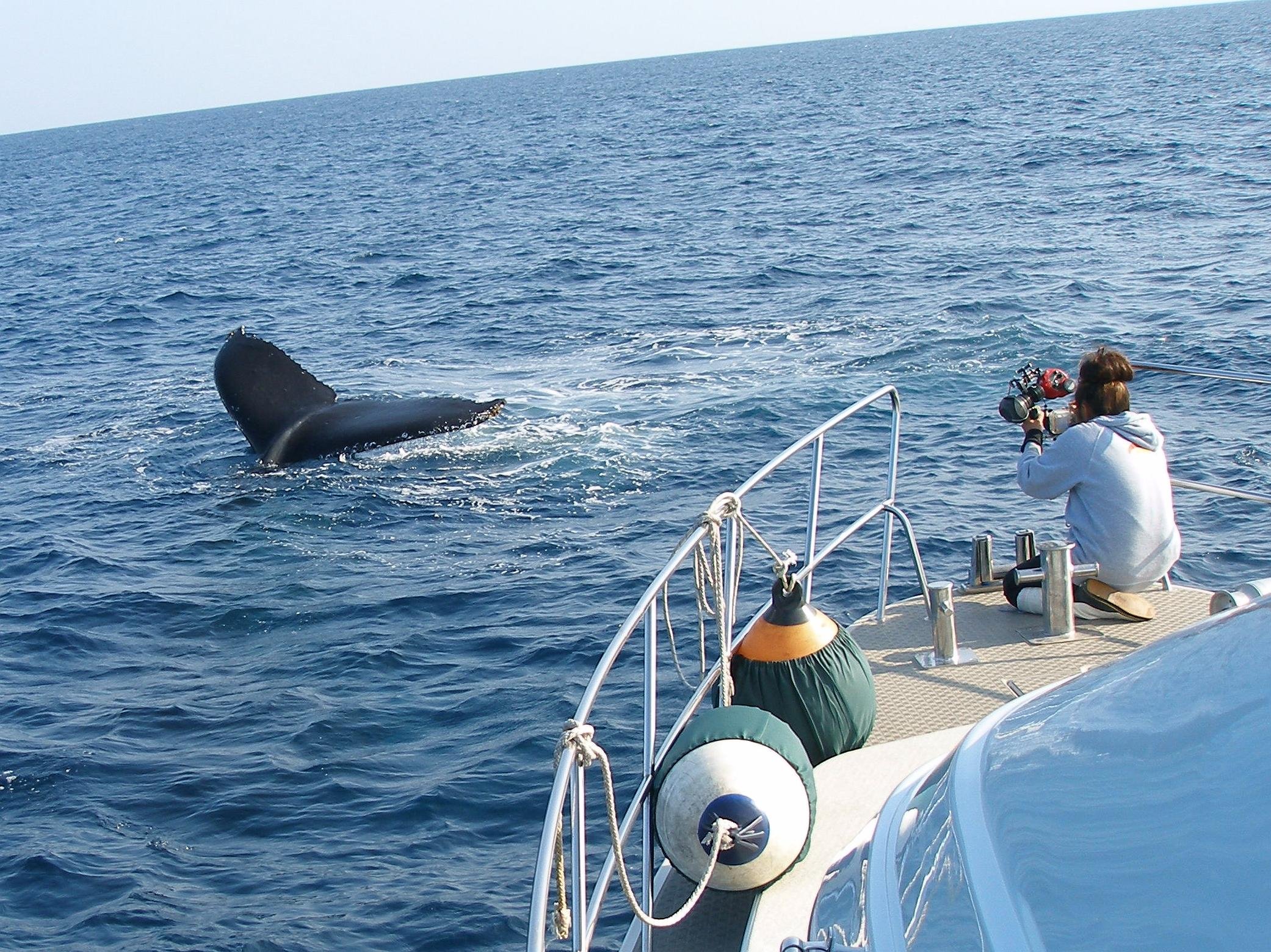 Okinawa snorkeling - Kerama Islands day trip from Naha — image 12