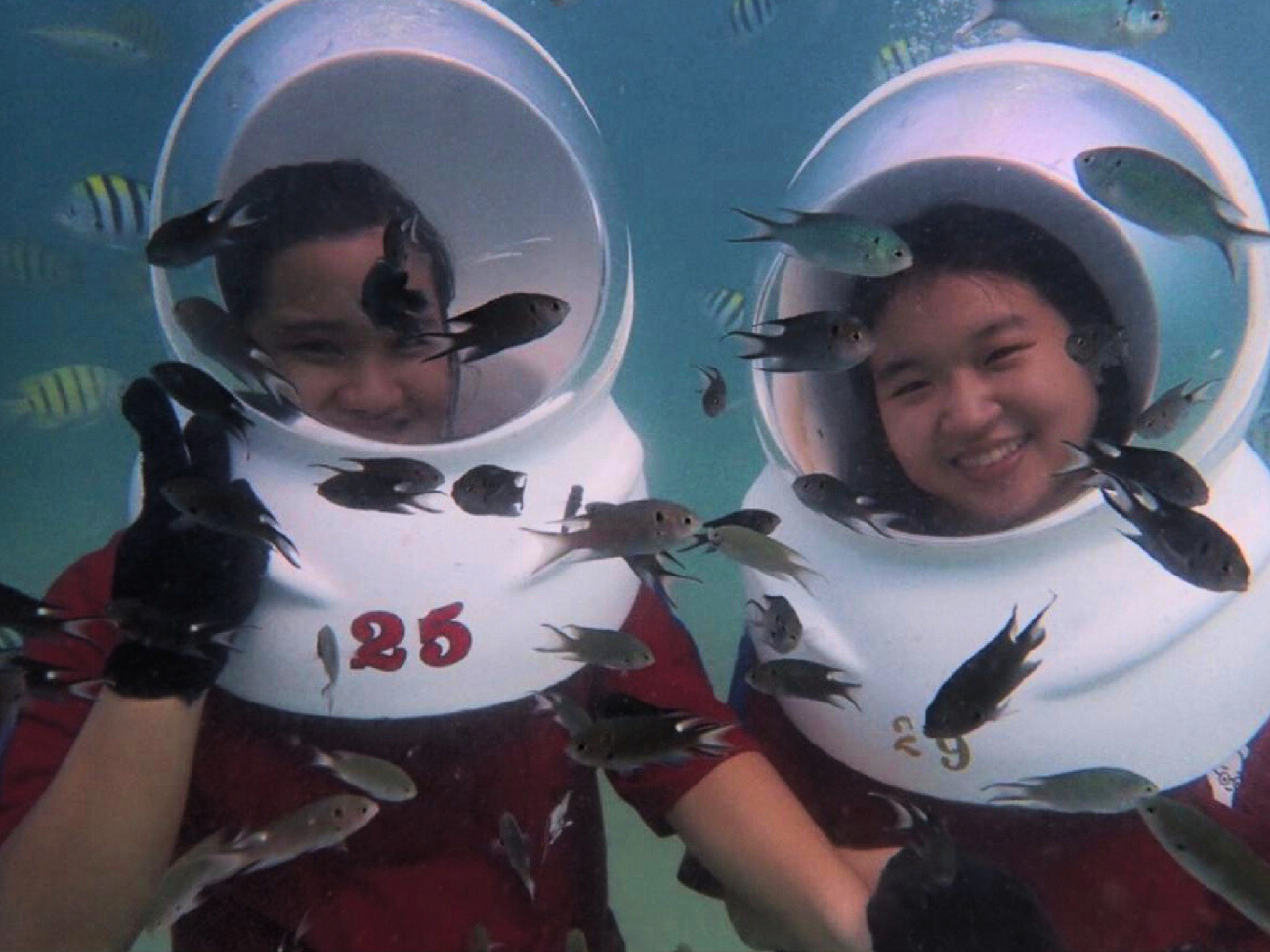 Pattaya Sea Walking & Koh Larn Speedboat Adventure