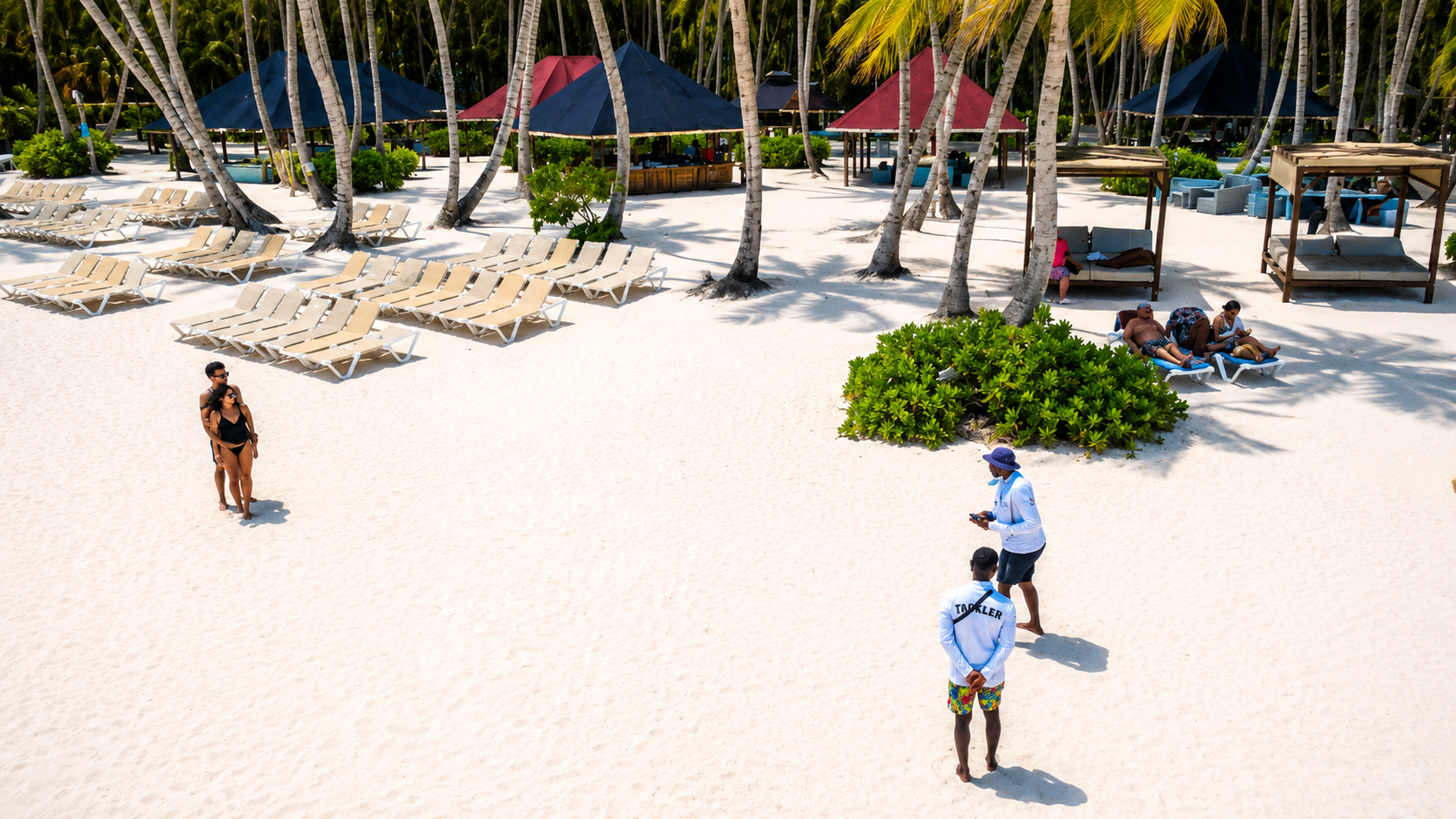 Saona Island Full-Day Adventure from Punta Cana