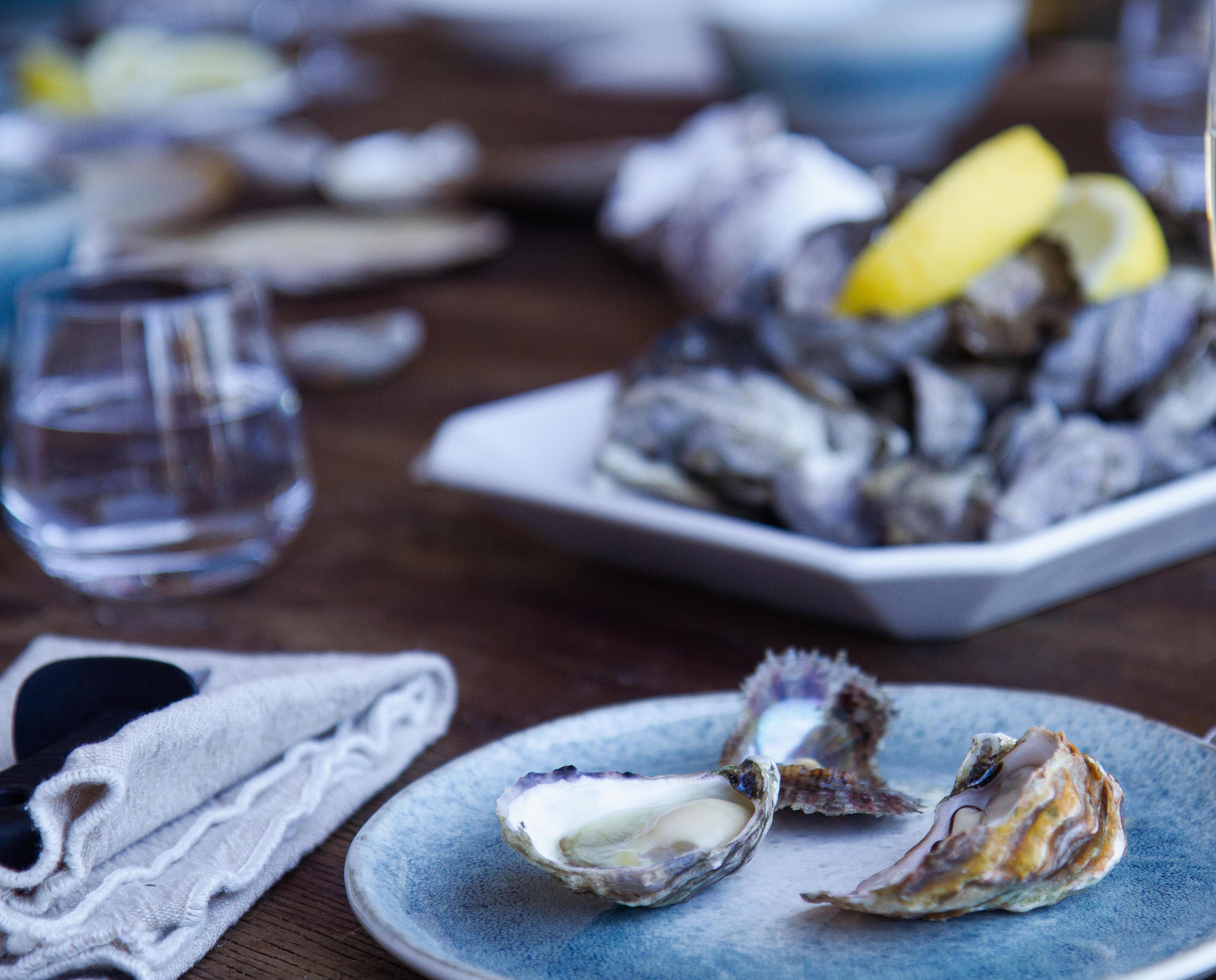 Hawkesbury River Oyster Farm Experience