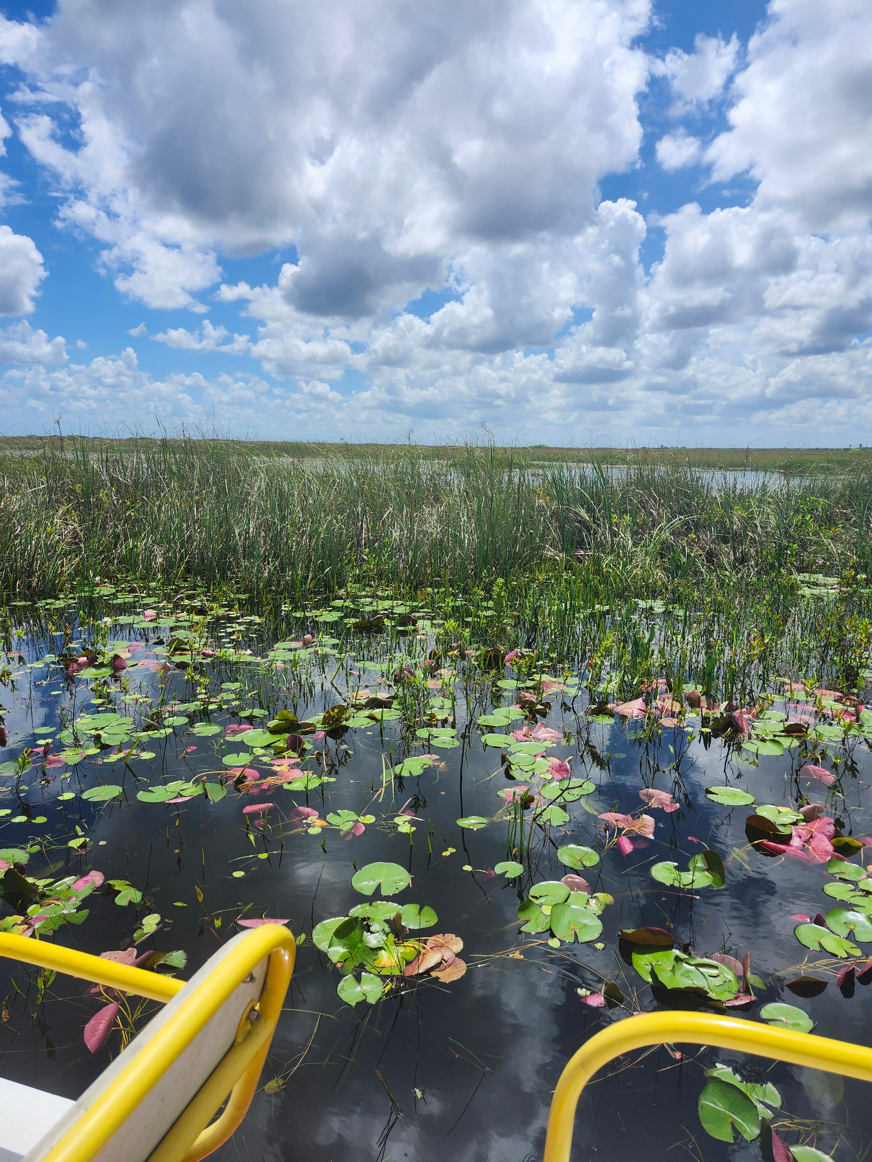Everglades Airboat Eco Tour: Small group & 2 Private Islands