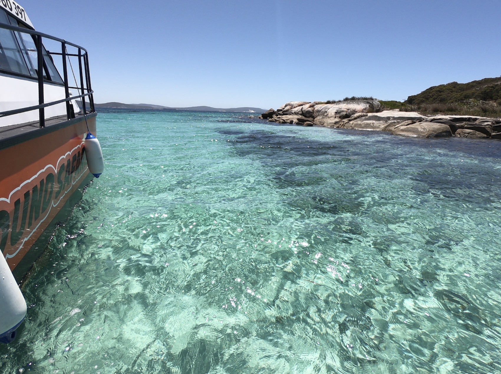 Private Whale & Dolphin Charter on Young Salty Dog